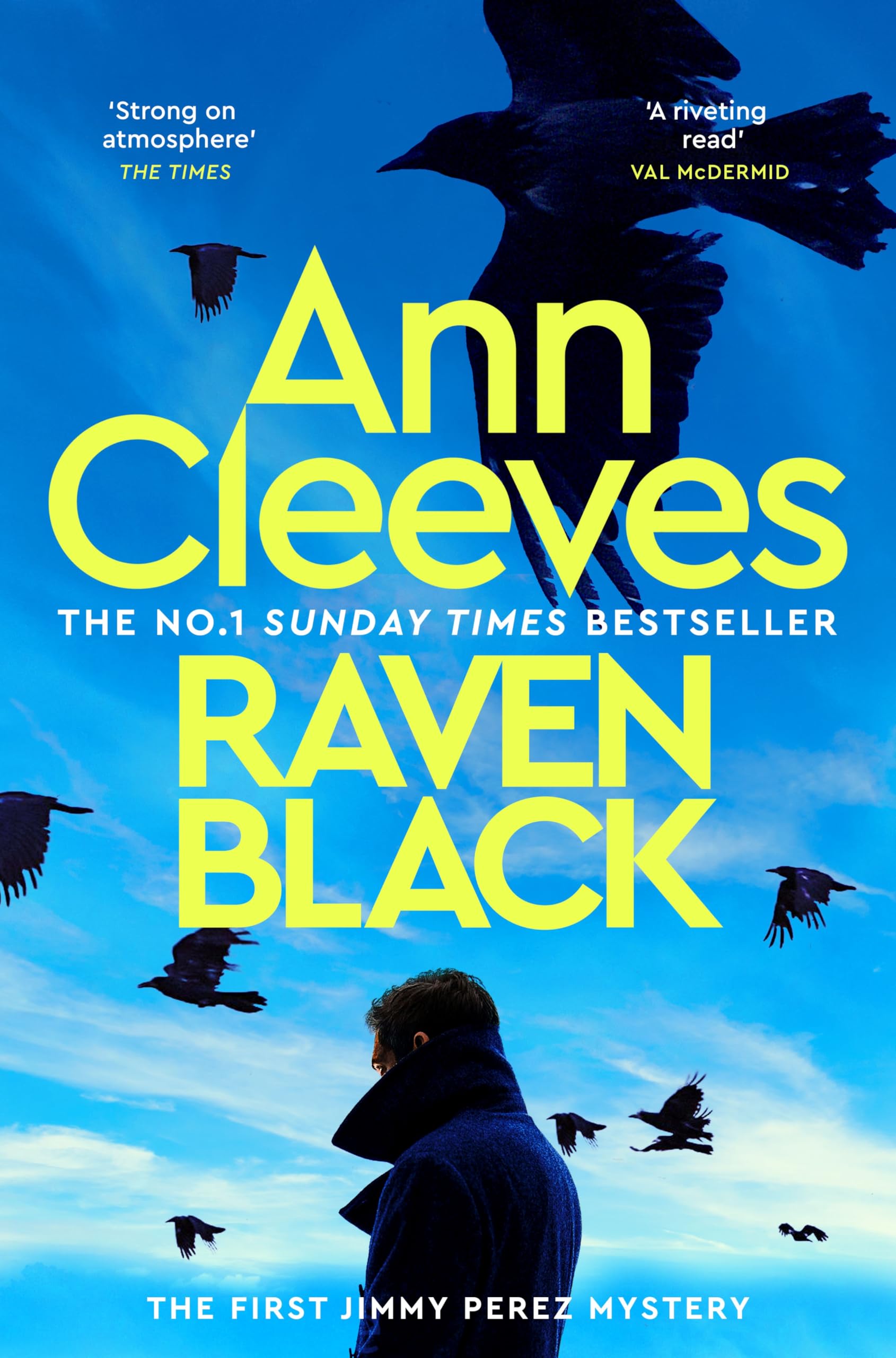Front cover of the book 'Raven Black' by Ann Cleeves.