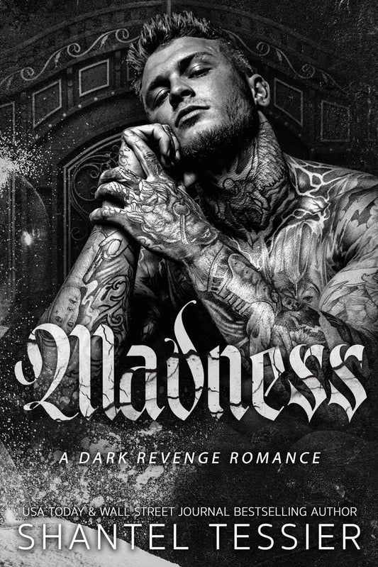 Madness - -PaperbackÐ  by Shantel Tessier
