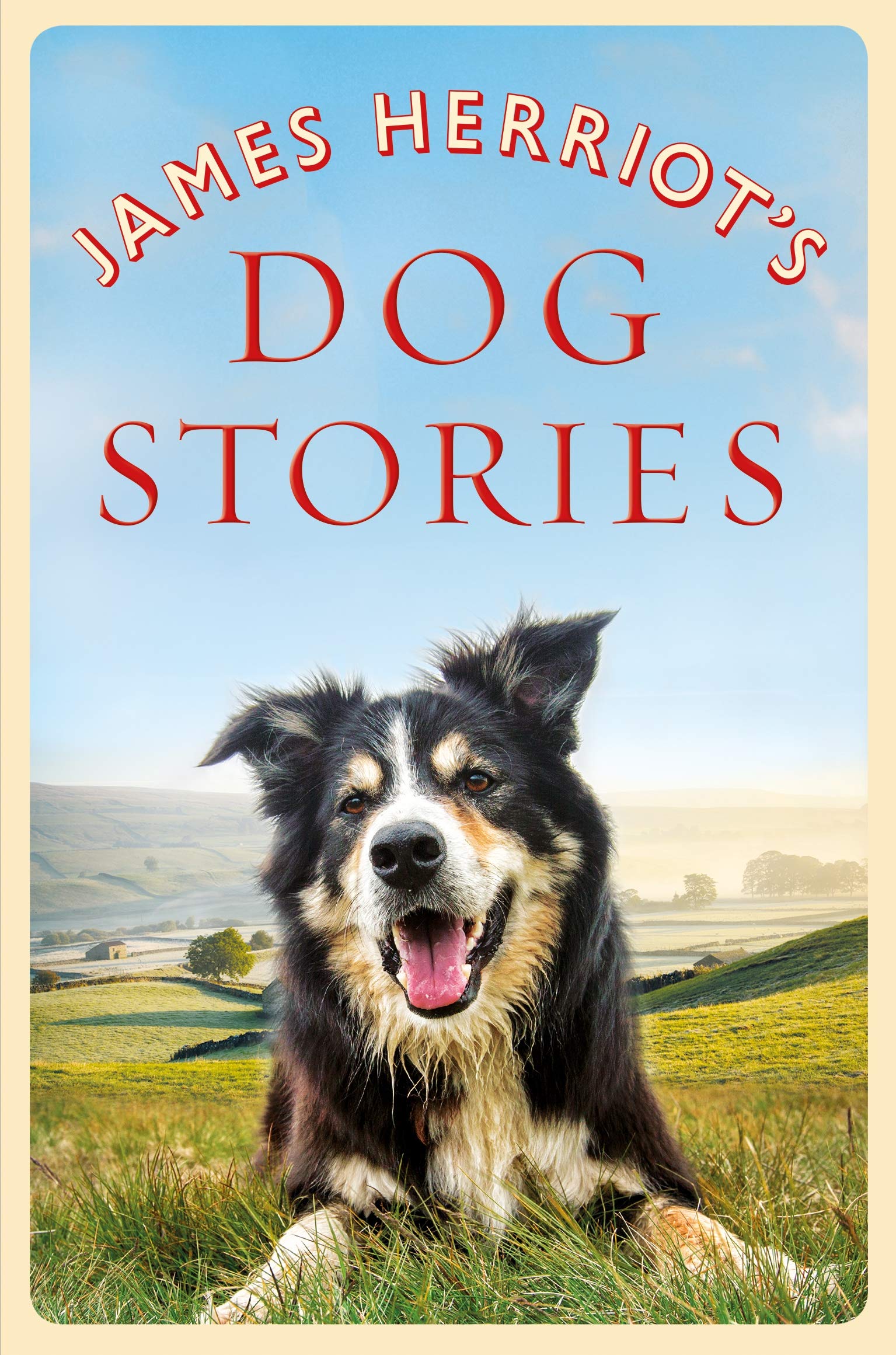 Front cover of the book 'James Herriots Dog Stories' by James Herriot.