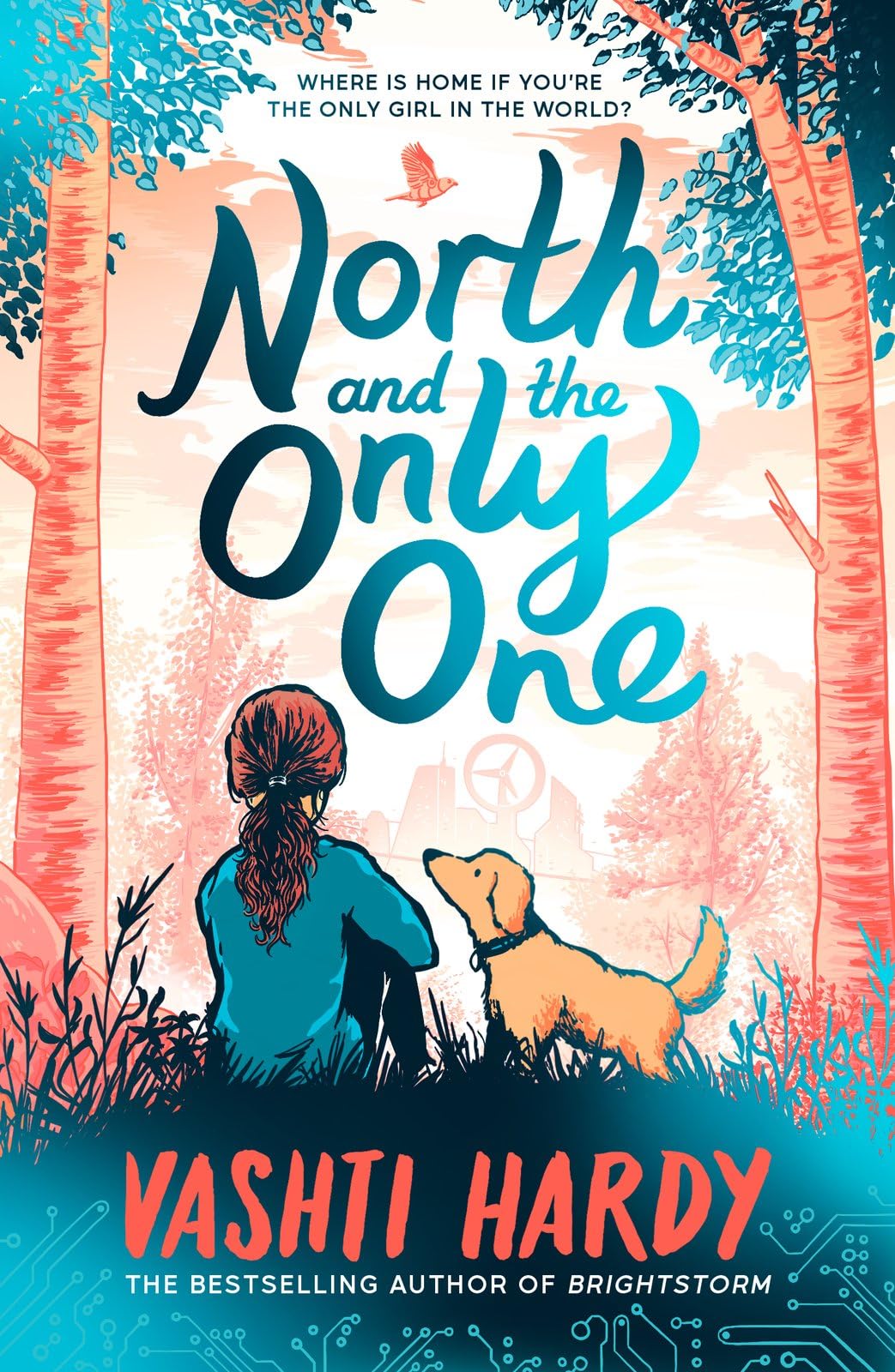 Front cover of the book 'North and the Only One' by Vashti Hardy.