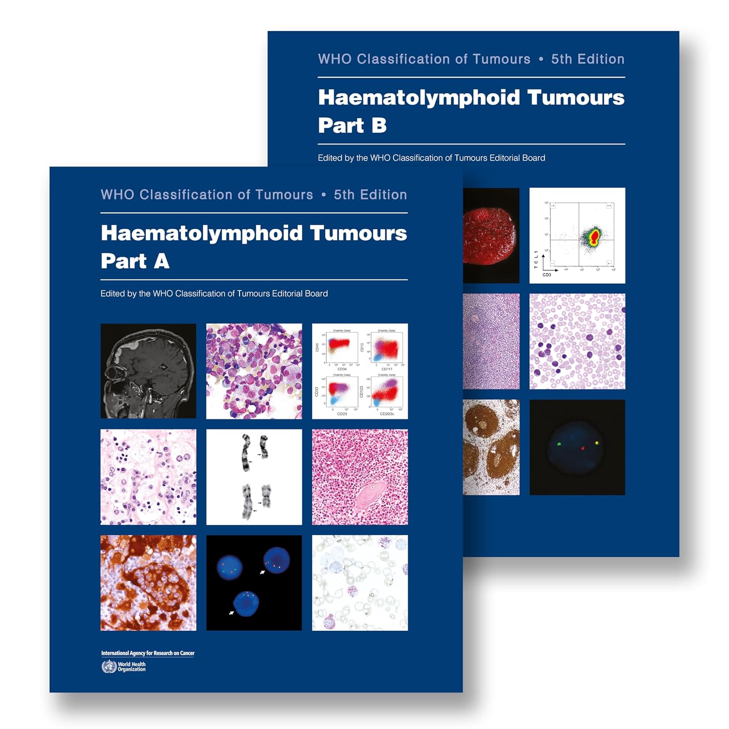 Haematolymphoid Tumours: WHO Classification of Tumours NYBooksHub