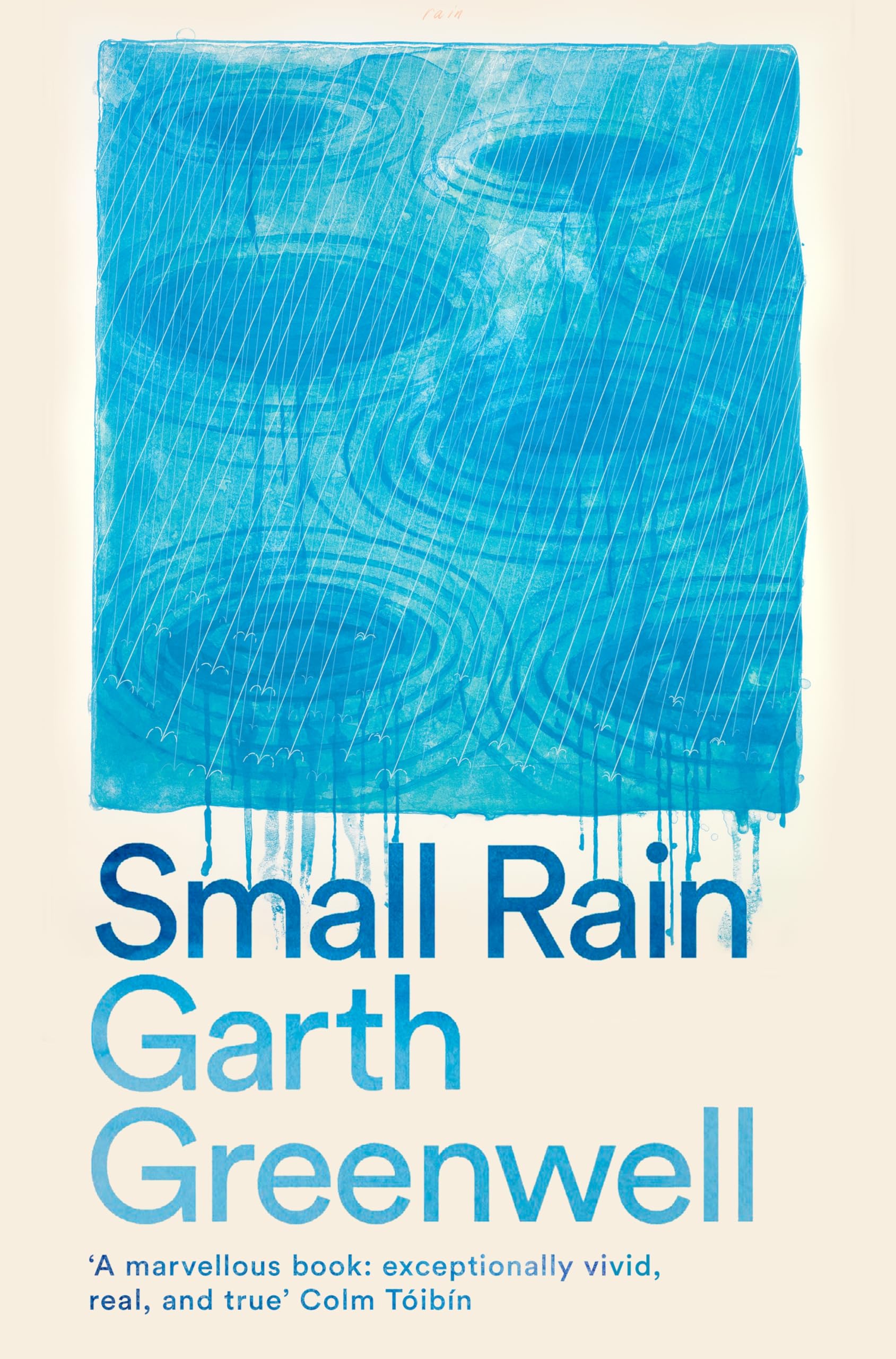 Front cover of the book 'Small Rain (International Edition)' by Garth Greenwell.