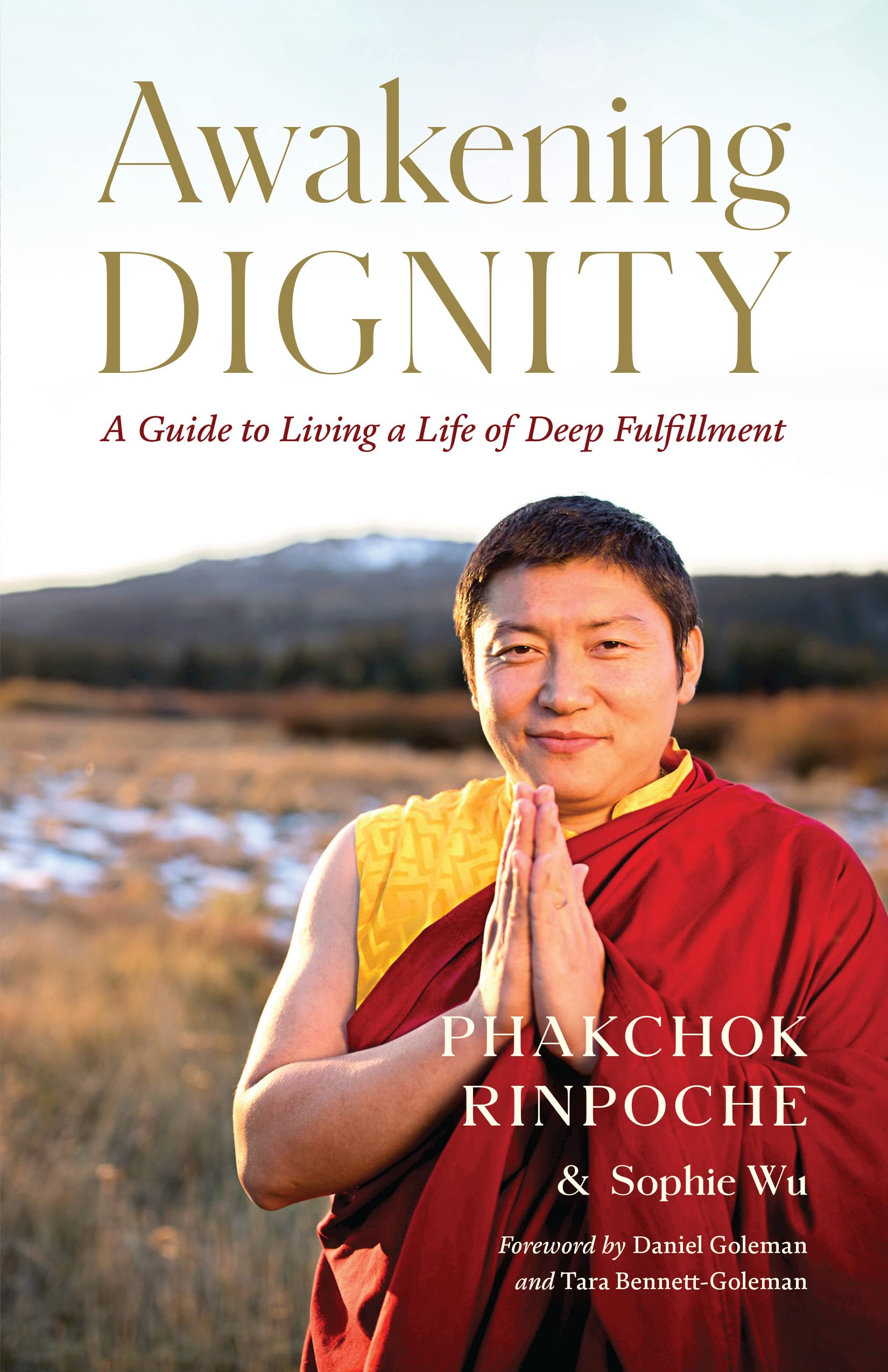Front cover of the book 'Awakening Dignity: A Guide to Living a Life of Deep Fulfillment' by Rinpoche, Phakchok.