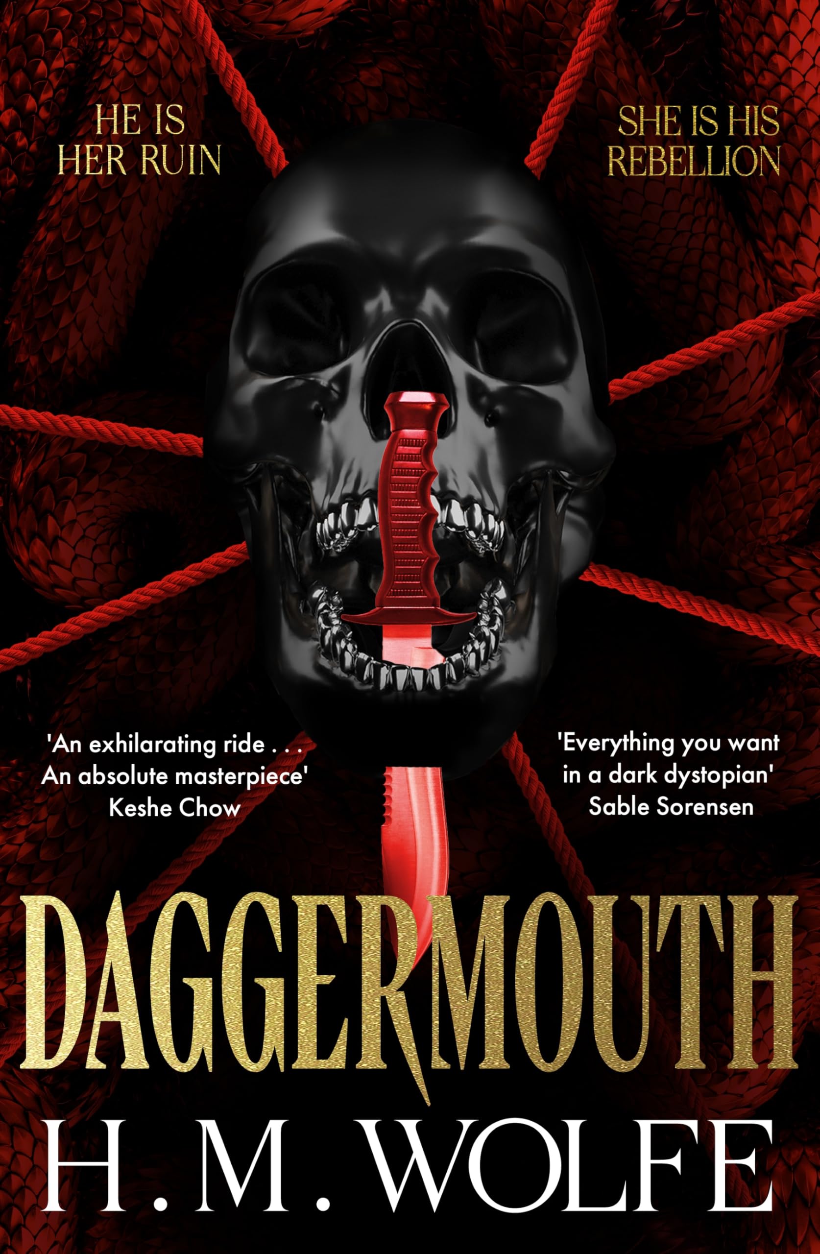 Front cover of the book 'Daggermouth' by H. M. Wolfe.