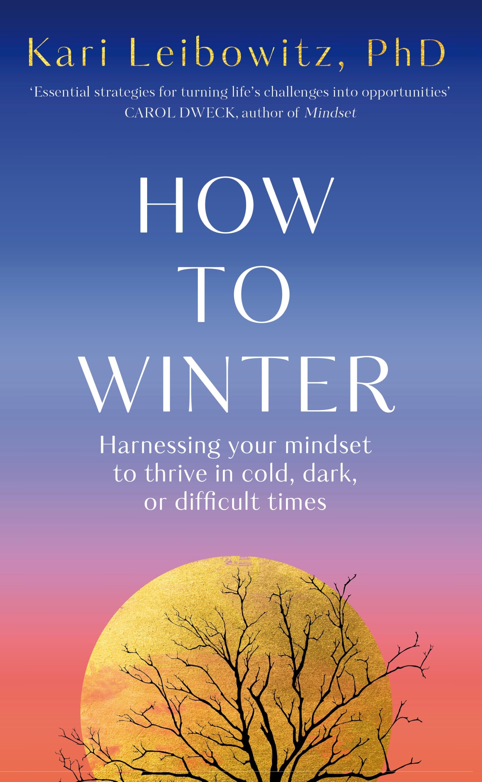 Front cover of the book 'How to Winter' by Kari Leibowitz.
