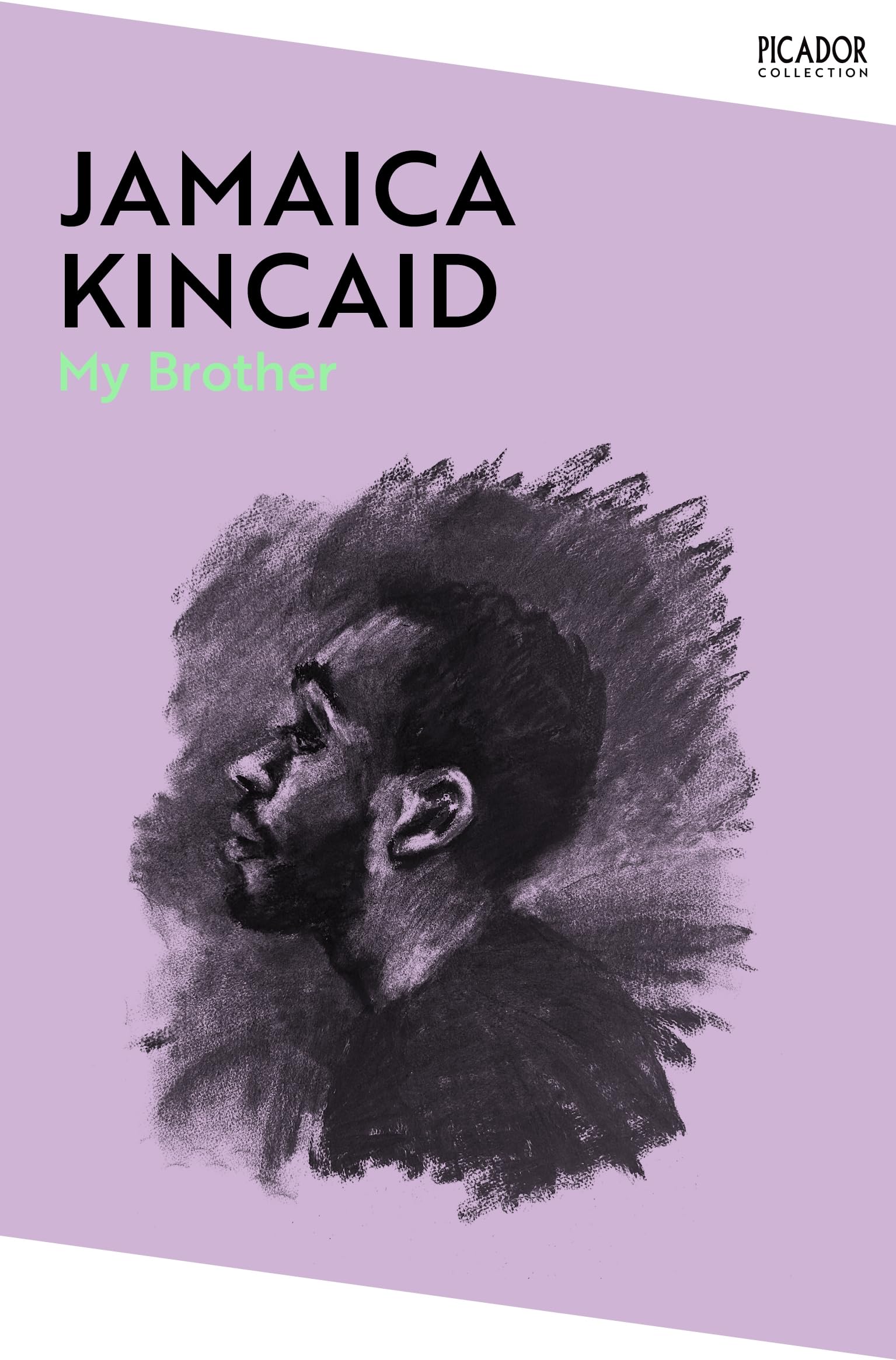 Front cover of the book 'My Brother (Picador Collection)' by Jamaica Kincaid.