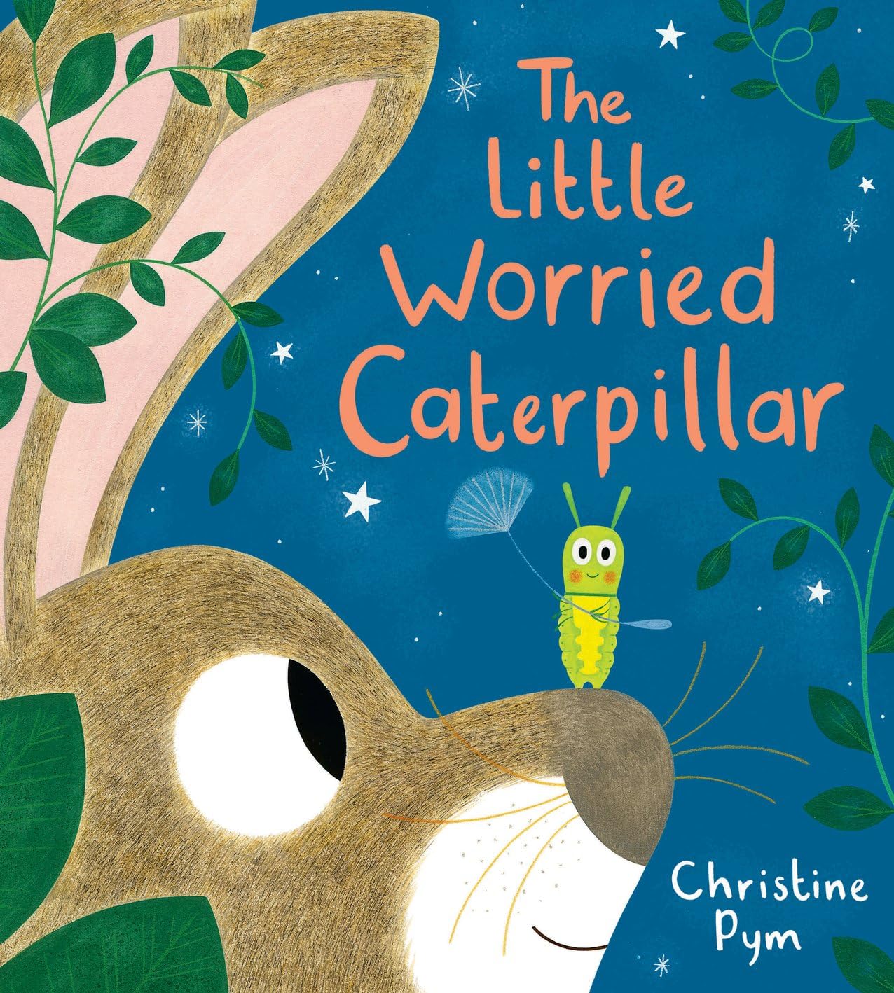 Front cover of the book 'LITTLE WORRIED CATERPILLAR (PB)' by Christine Pym.