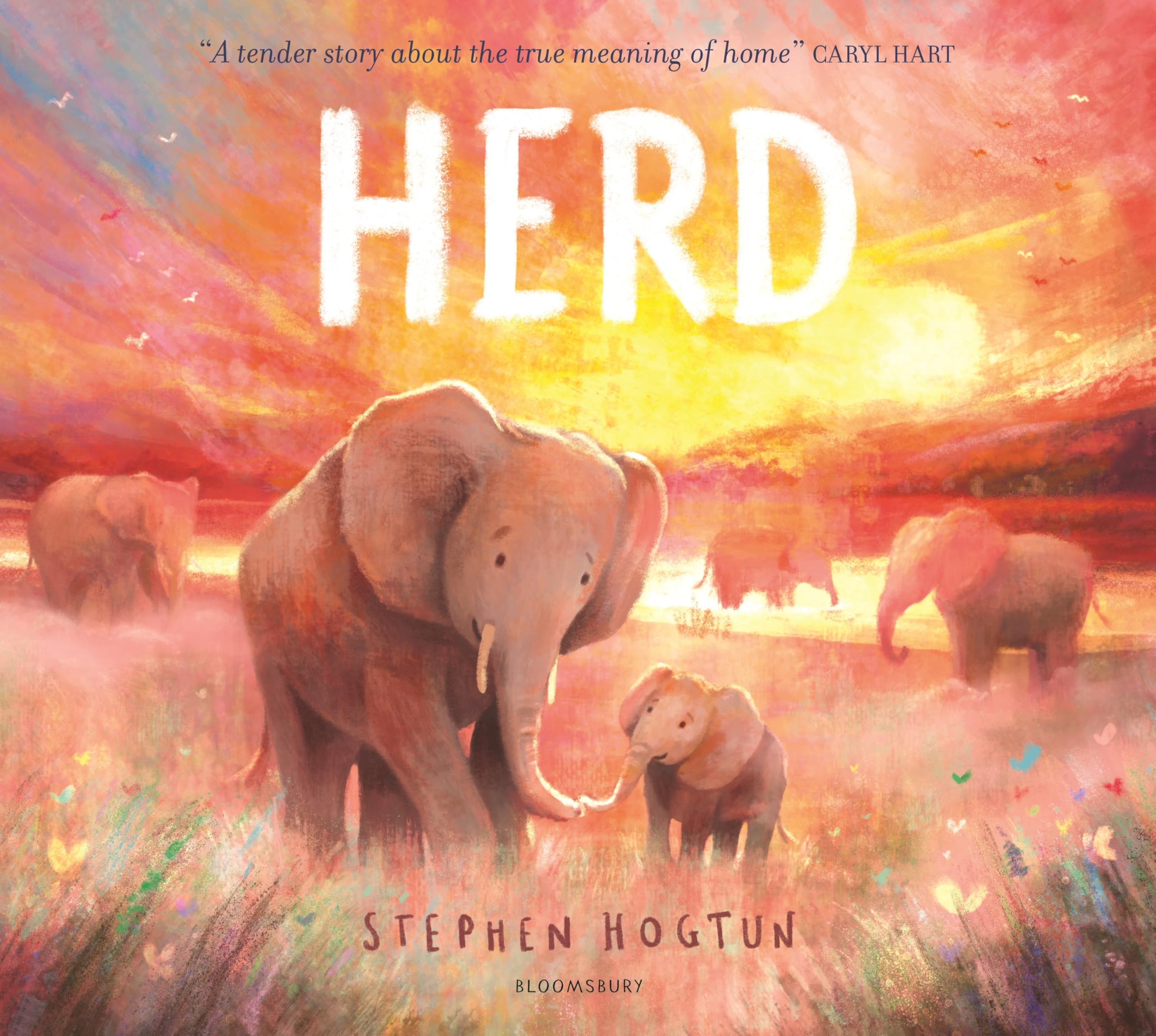 Front cover of the book 'Bloomsbury HERD.' by Stephen Hogtun.