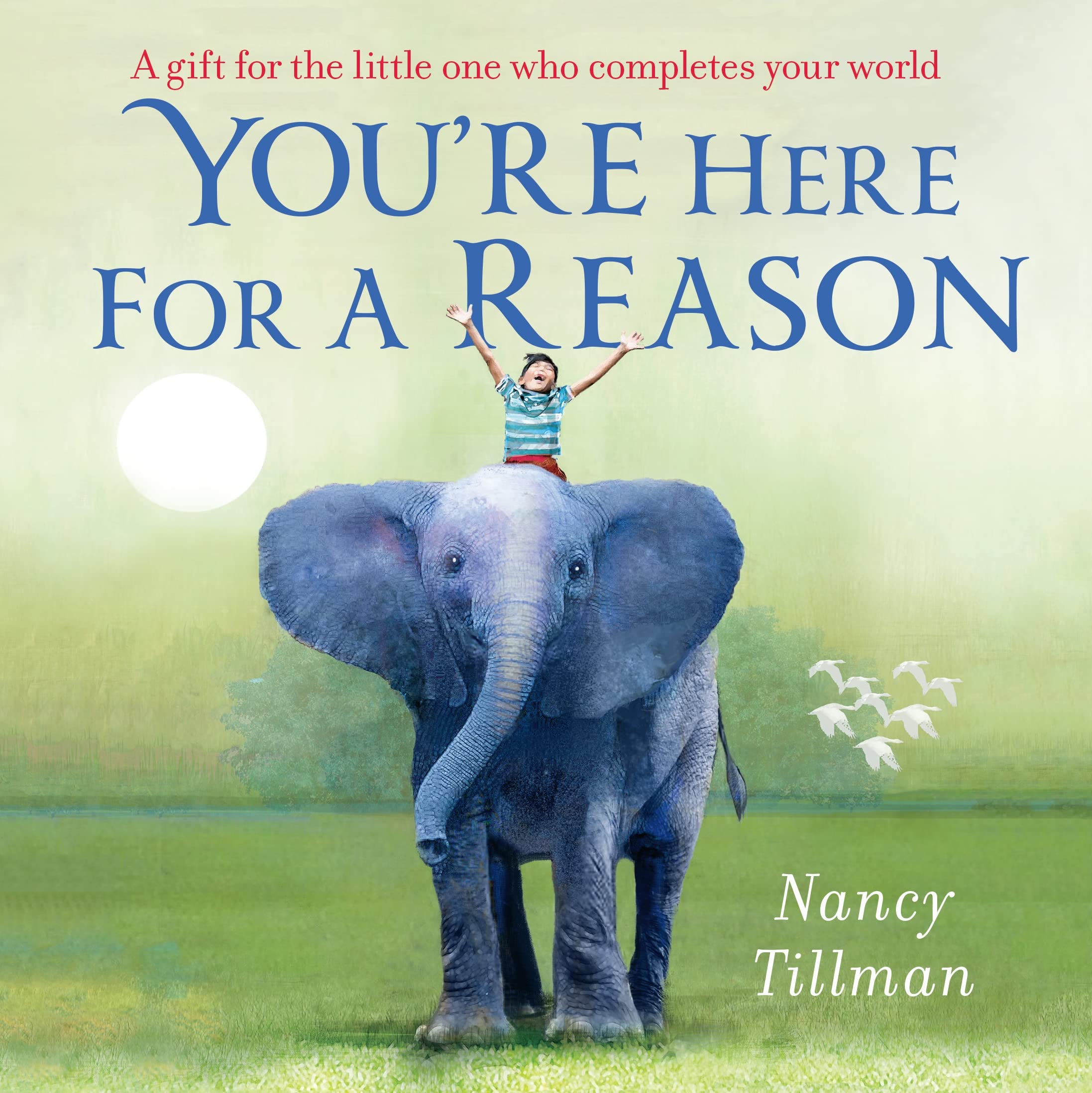 Front cover of the book 'You're Here for a Reason MME (International Edition)' by Nancy Tillman.