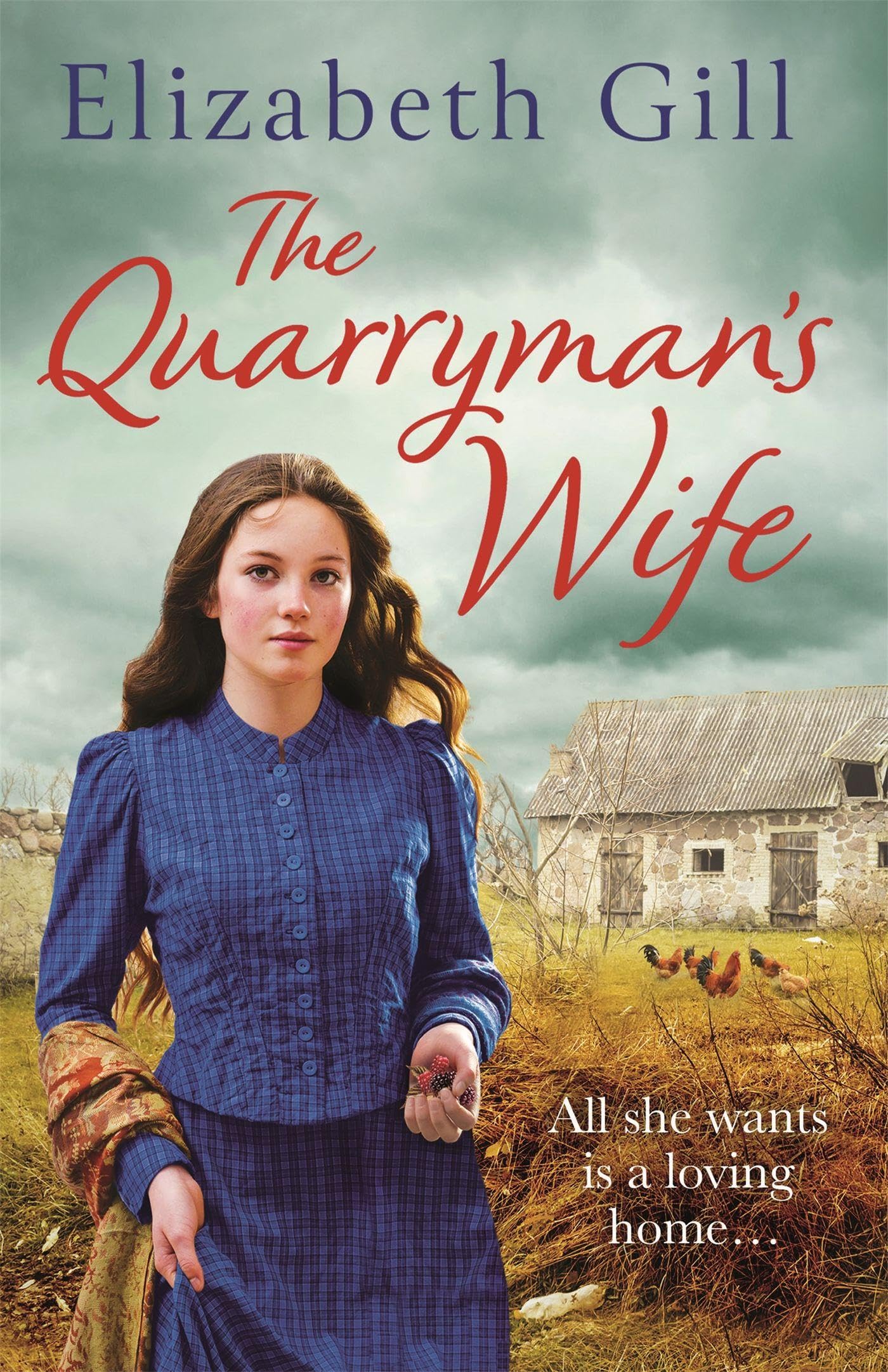 Front cover of the book 'Quarryman's Wife' by Gill, Elizabeth.