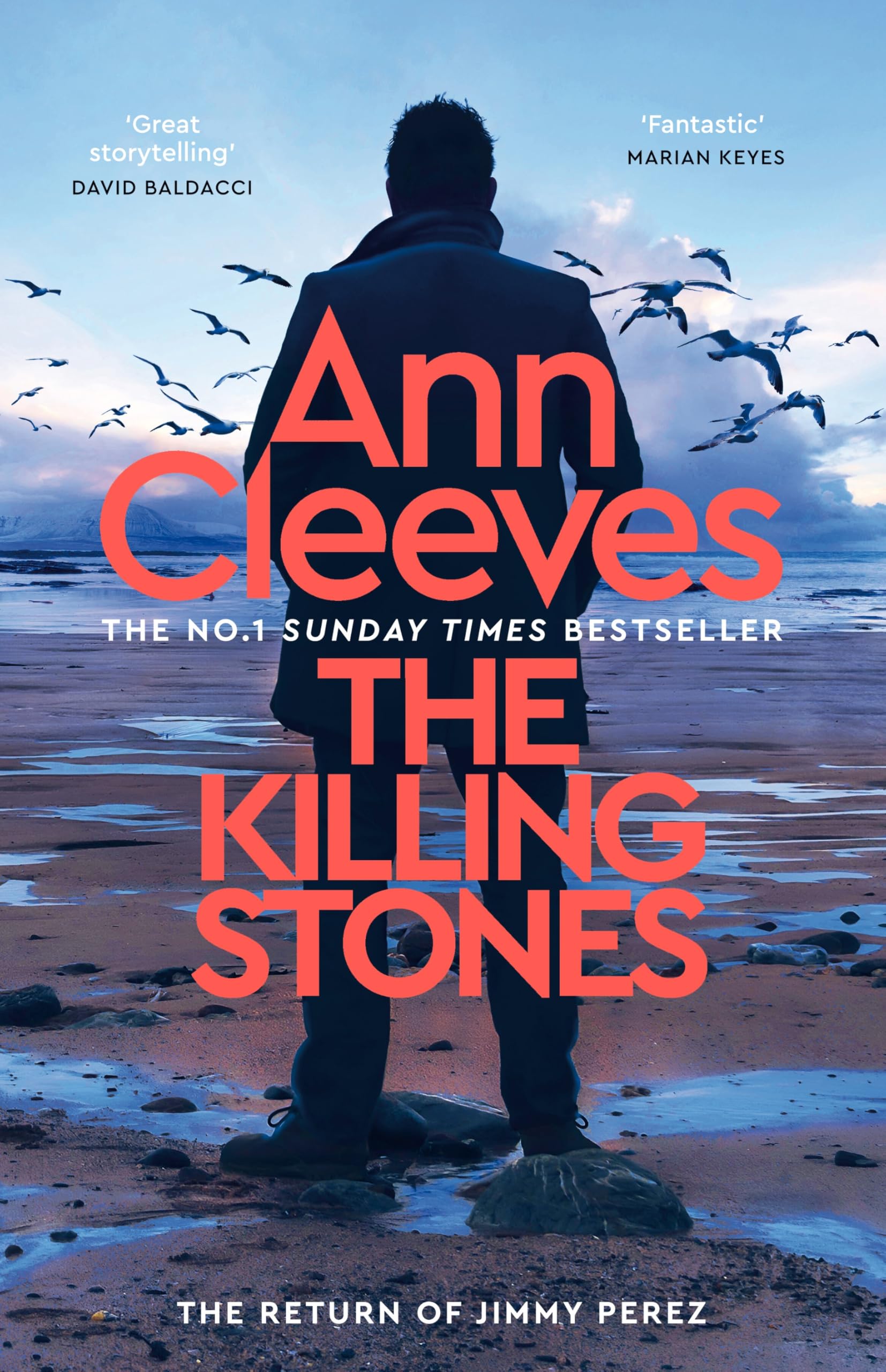 Front cover of the book 'The Killing Stones' by Ann Cleeves.
