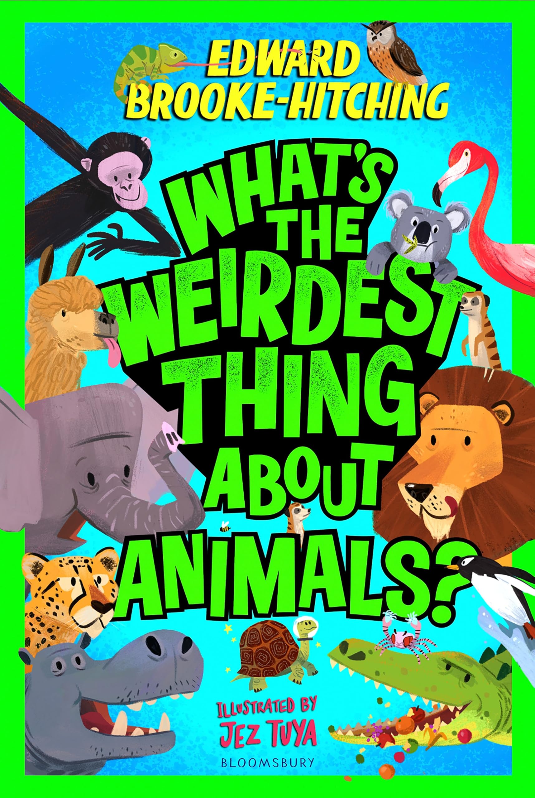 Front cover of the book 'What's the Weirdest Thing About Animals?' by Edward Brooke-Hitching.