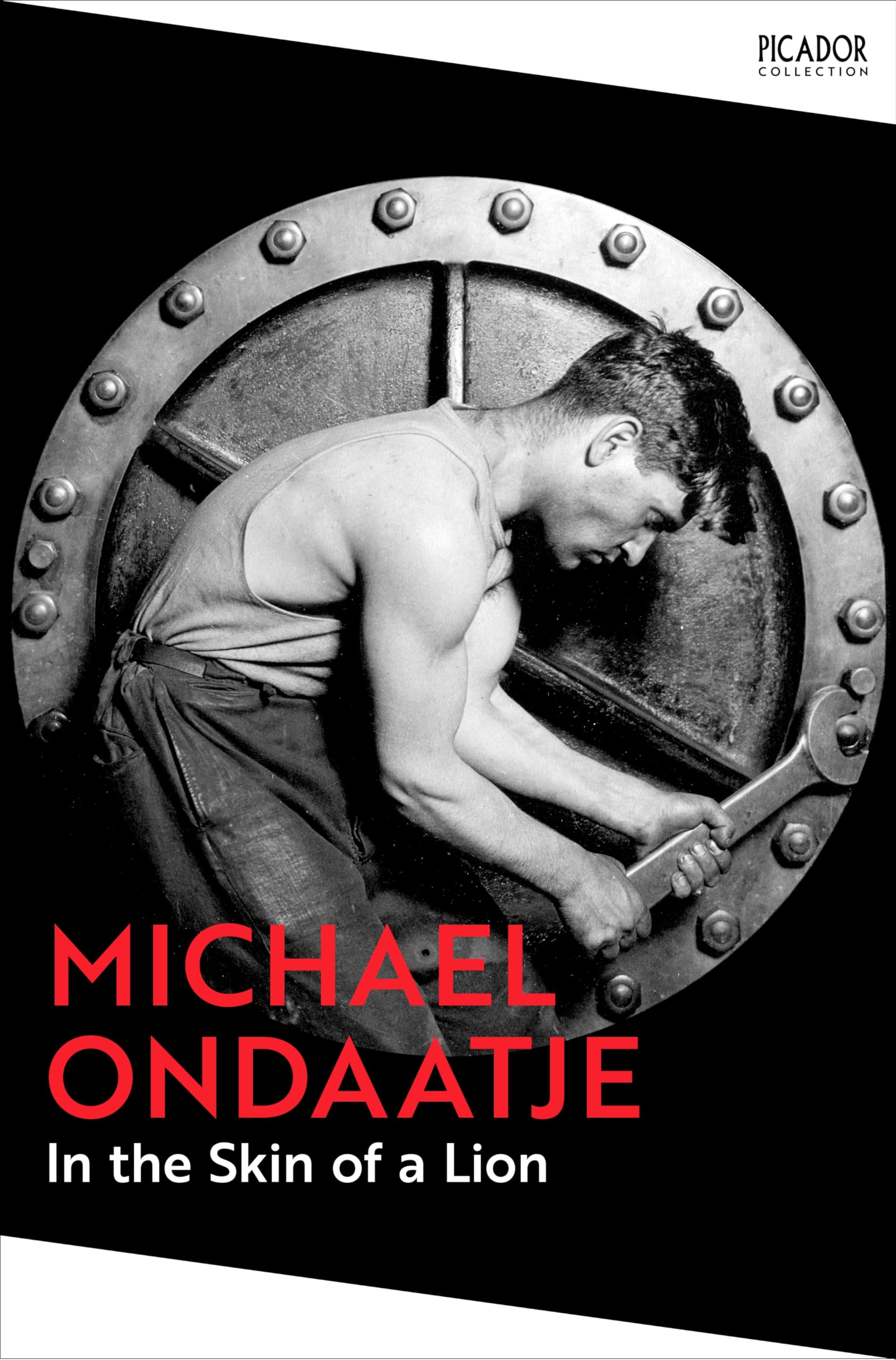 Front cover of the book 'In the Skin of a Lion' by Michael Ondaatje.