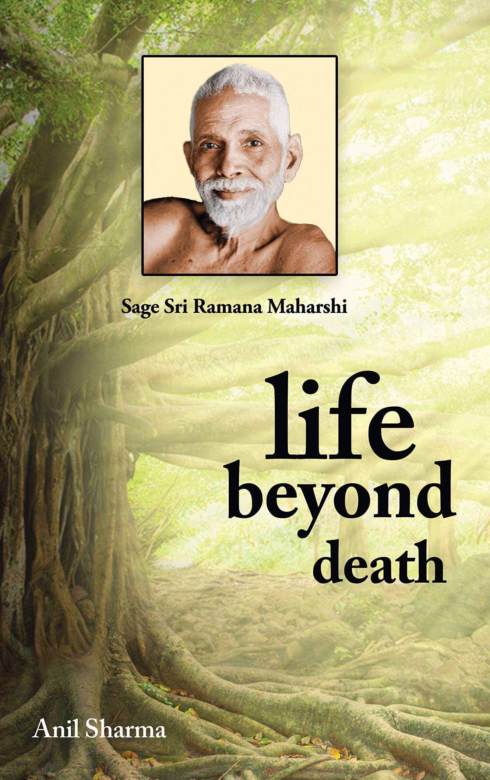 Front cover of the book 'Life Beyond Death' by Anil Kumar.