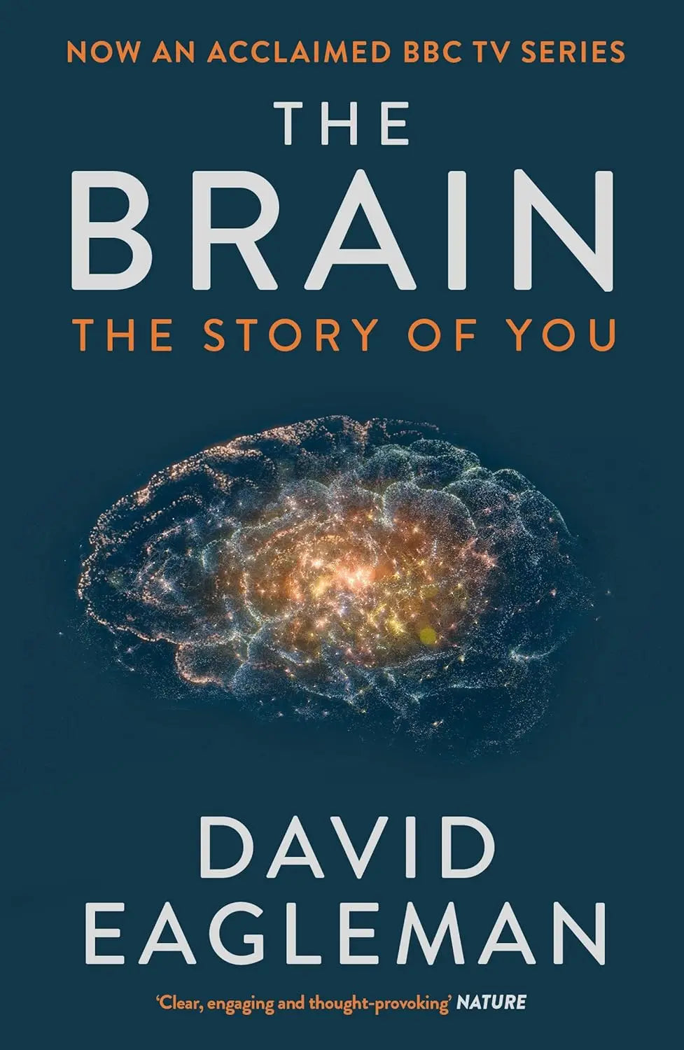 The Brain (Paperback) image 1