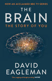 The Brain (Paperback) image 1
