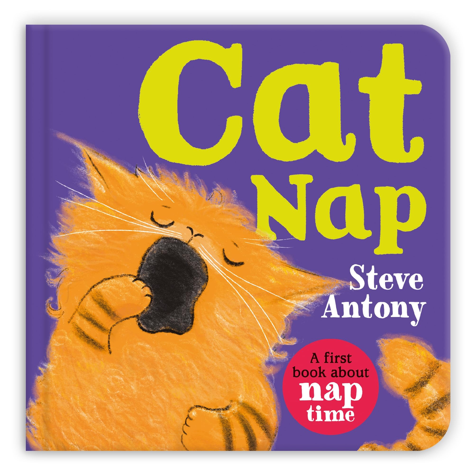 Front cover of the book 'Cat Nap' by Steve Antony.