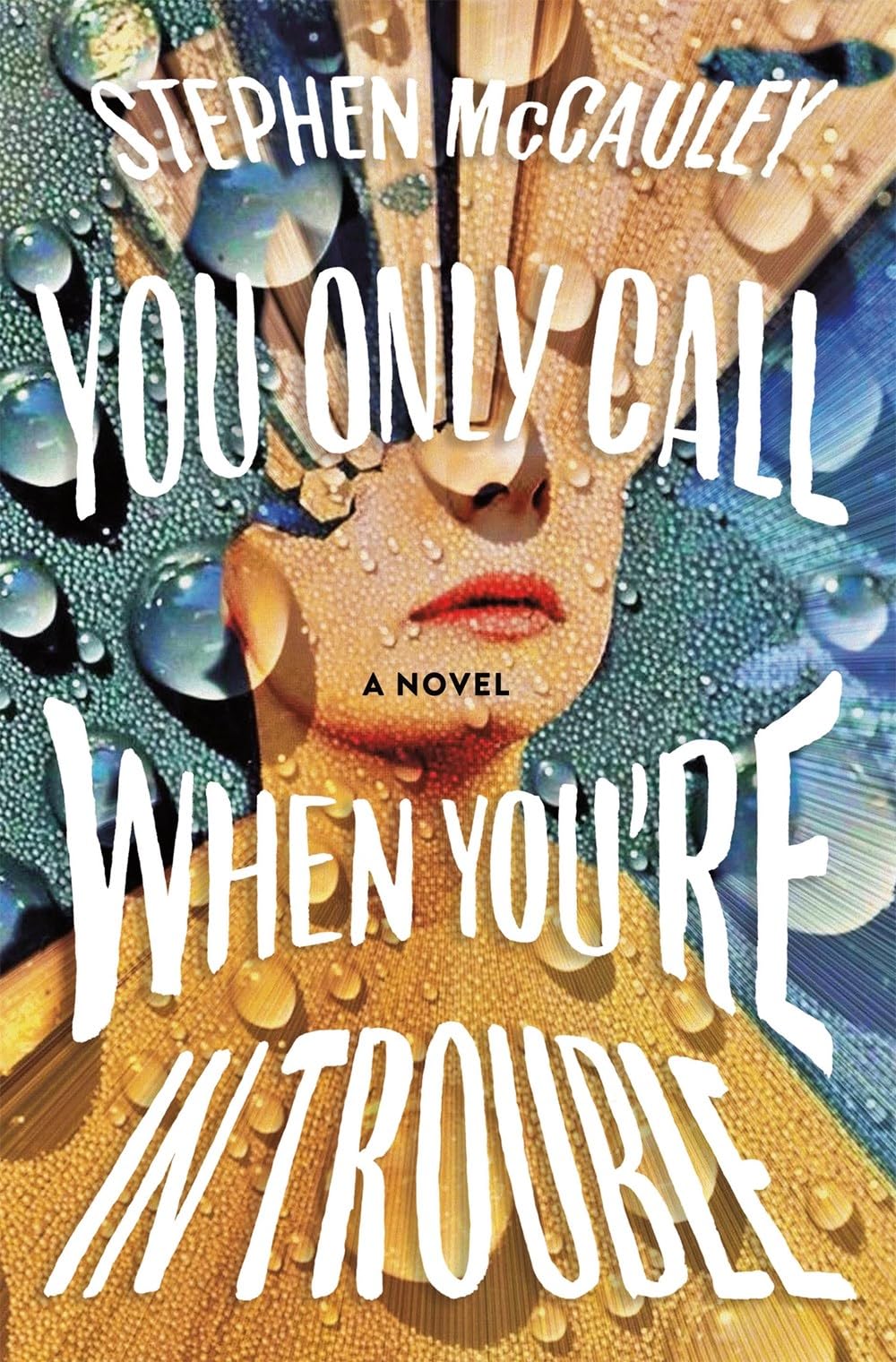 Front cover of the book 'You Only Call When You're in Trouble' by Stephen McCauley.