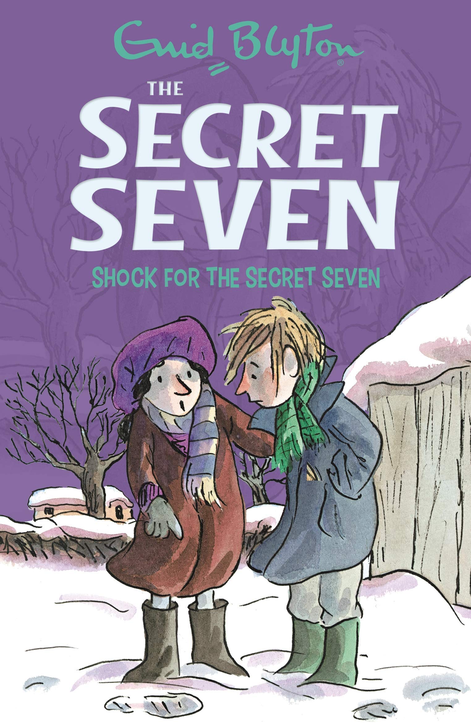 Front cover of the book 'Shock for the Secret Seven: Secret Seven 13' by Blyton, Enid.