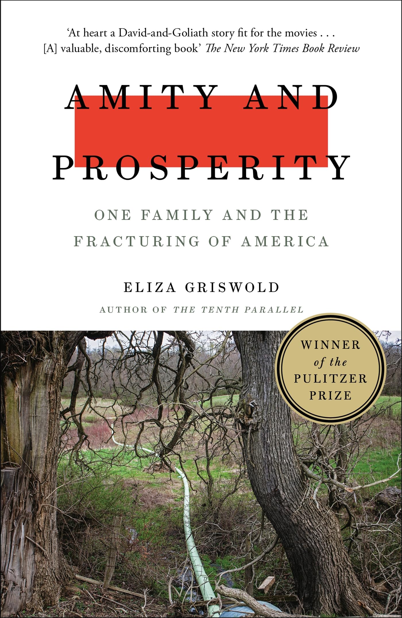 Front cover of the book 'Amity and Prosperity: One Family and the Fracturing of America' by Griswold Eliza.