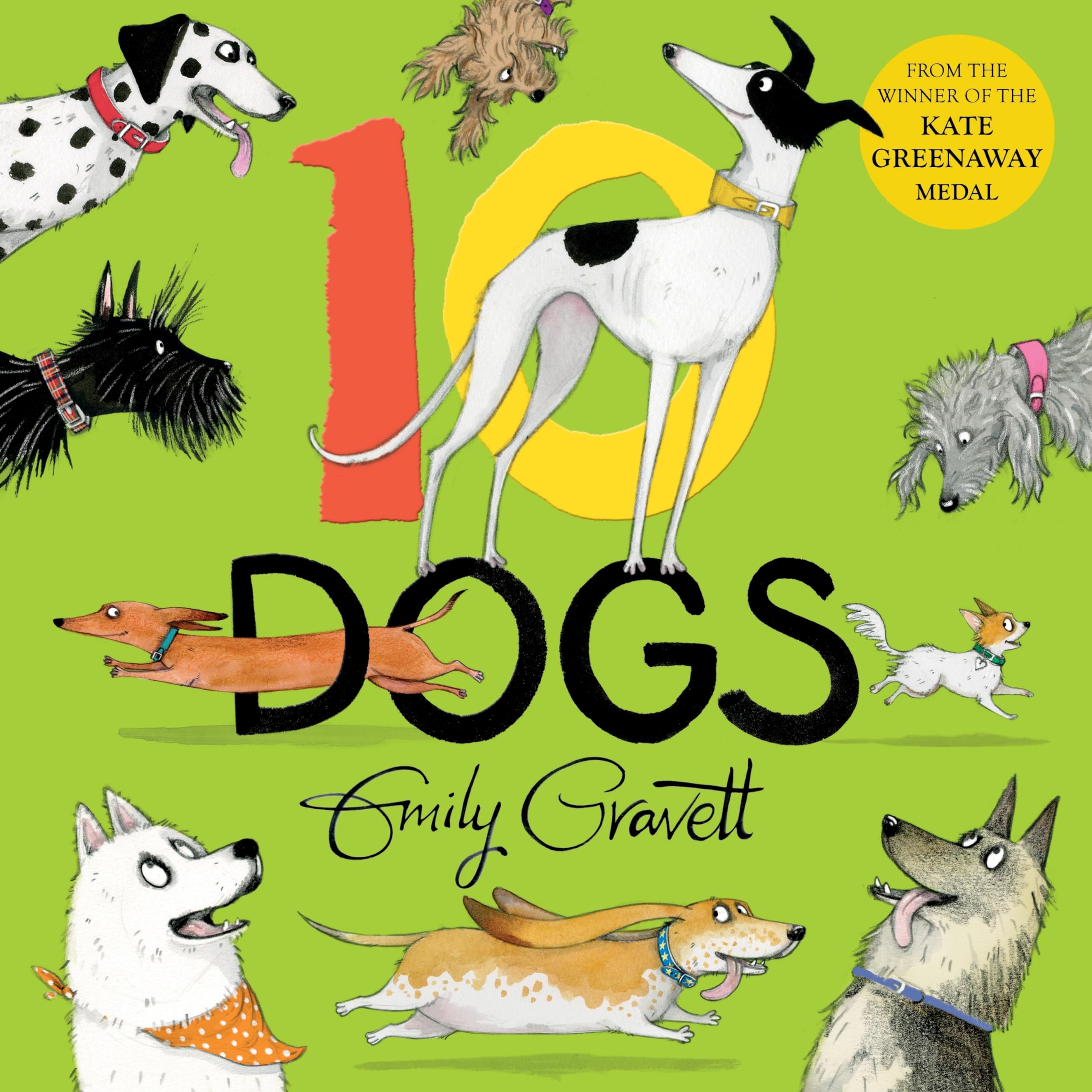 Front cover of the book 'Two Hoots 10 Dogs A Funny Furry Counting Book.' by Emily Gravett.