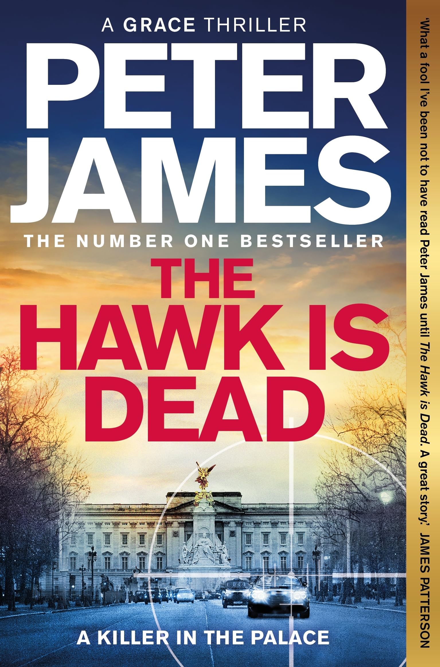 Front cover of the book 'The Hawk Is Dead (Roy Grace, 21)' by Peter James.