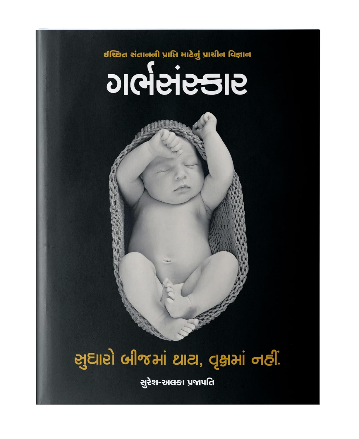 Garbhsanskar NYBooksHub