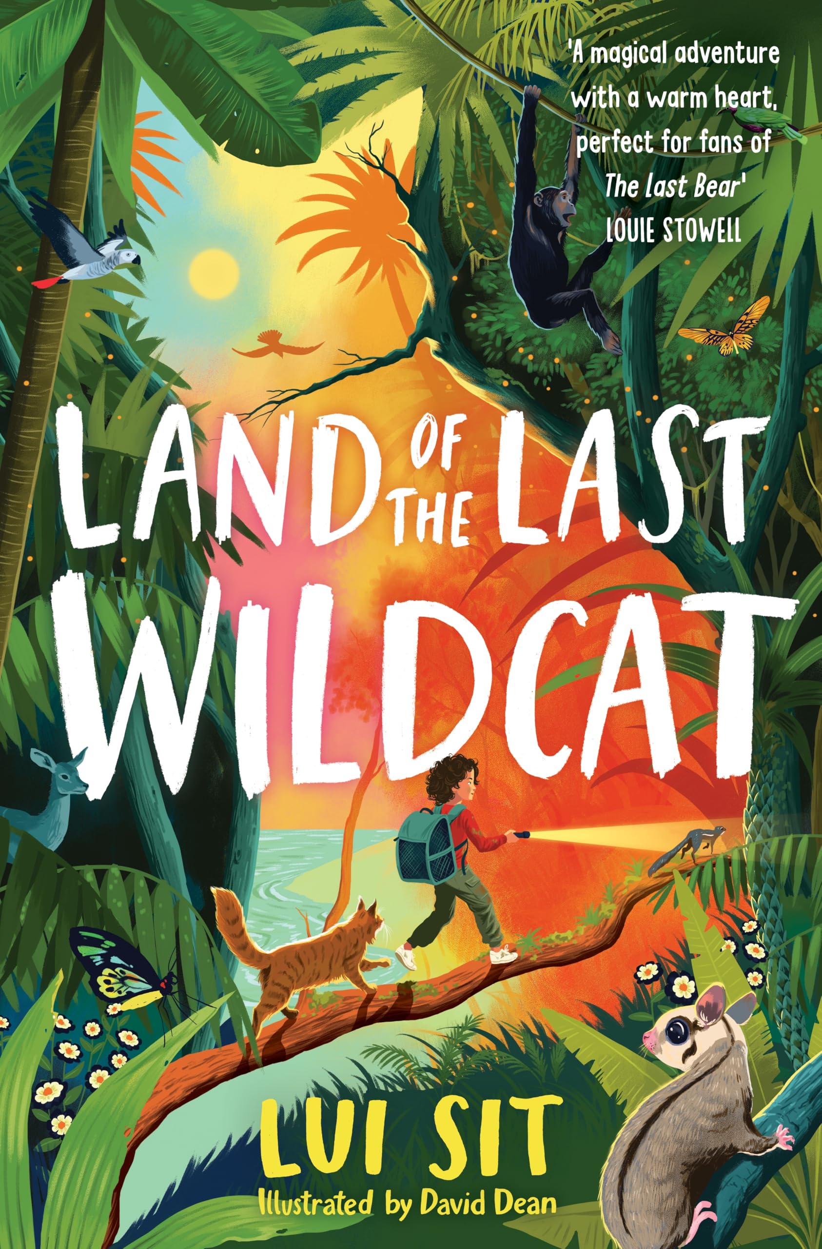 Front cover of the book 'Land of the Last Wildcat' by Lui Sit, David Dean.