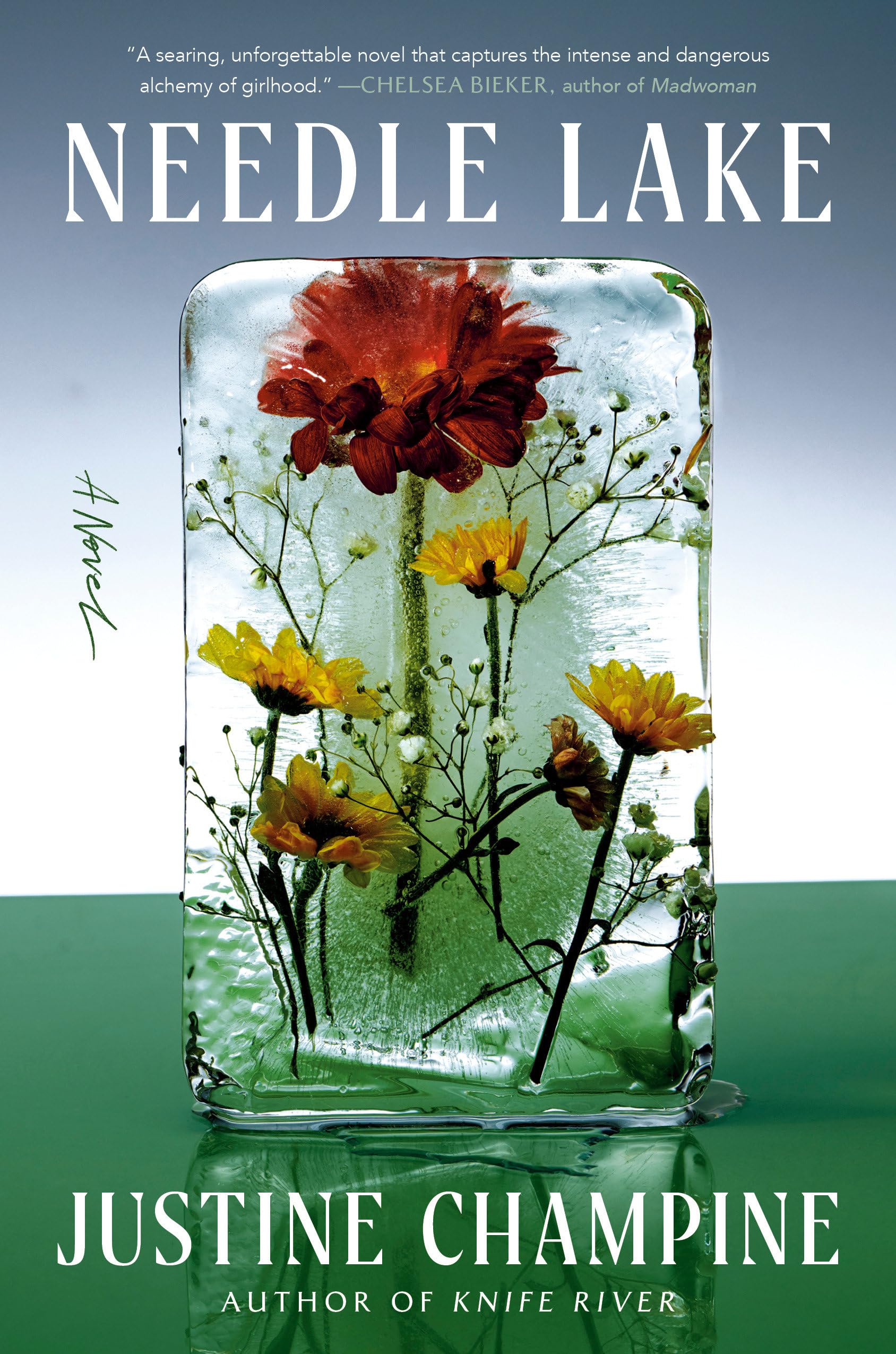 Front cover of the book 'Needle Lake: A Novel' by Champine, Justine.