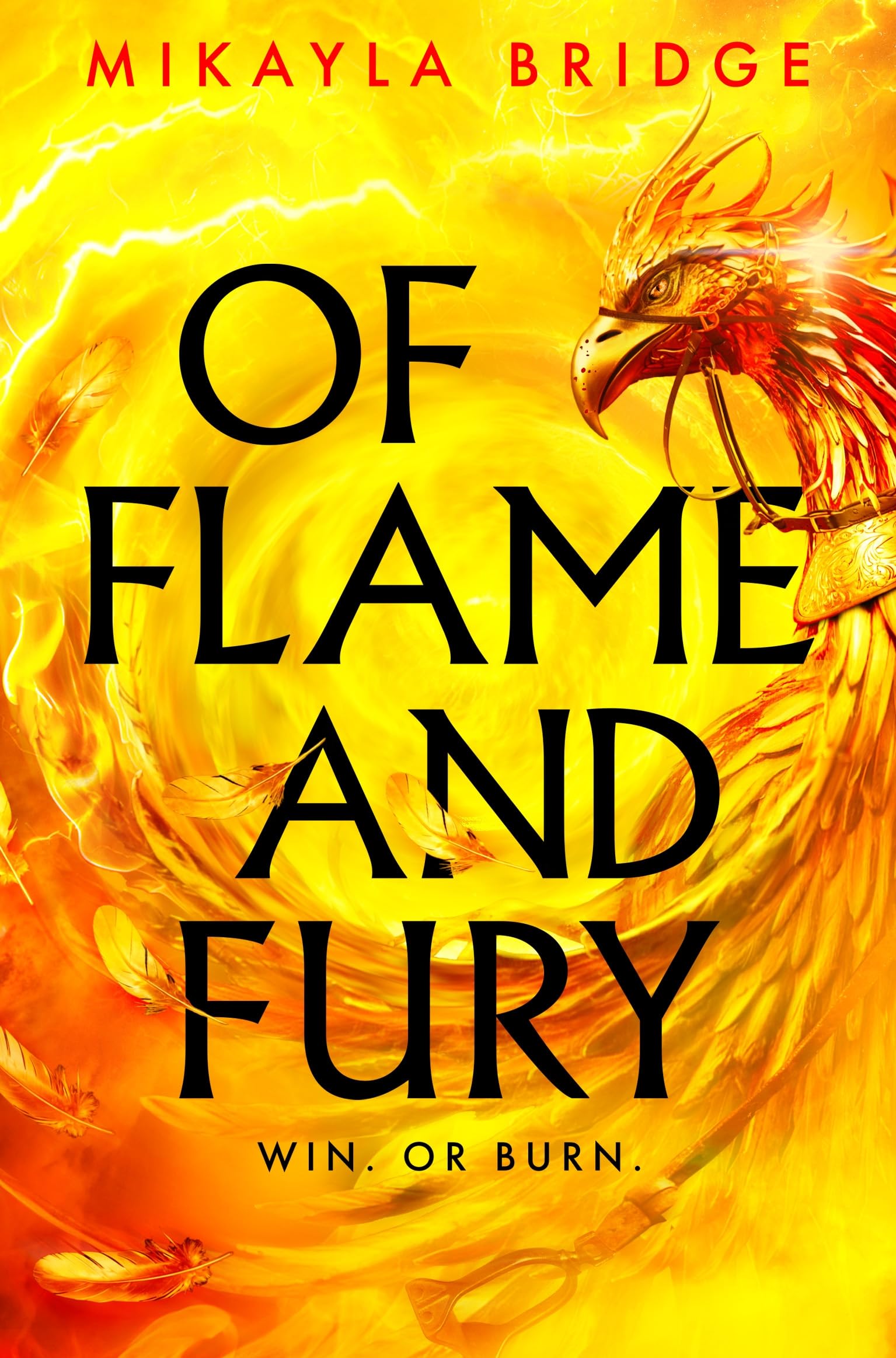Front cover of the book 'Of flame and fury' by Mikayla Bridge.