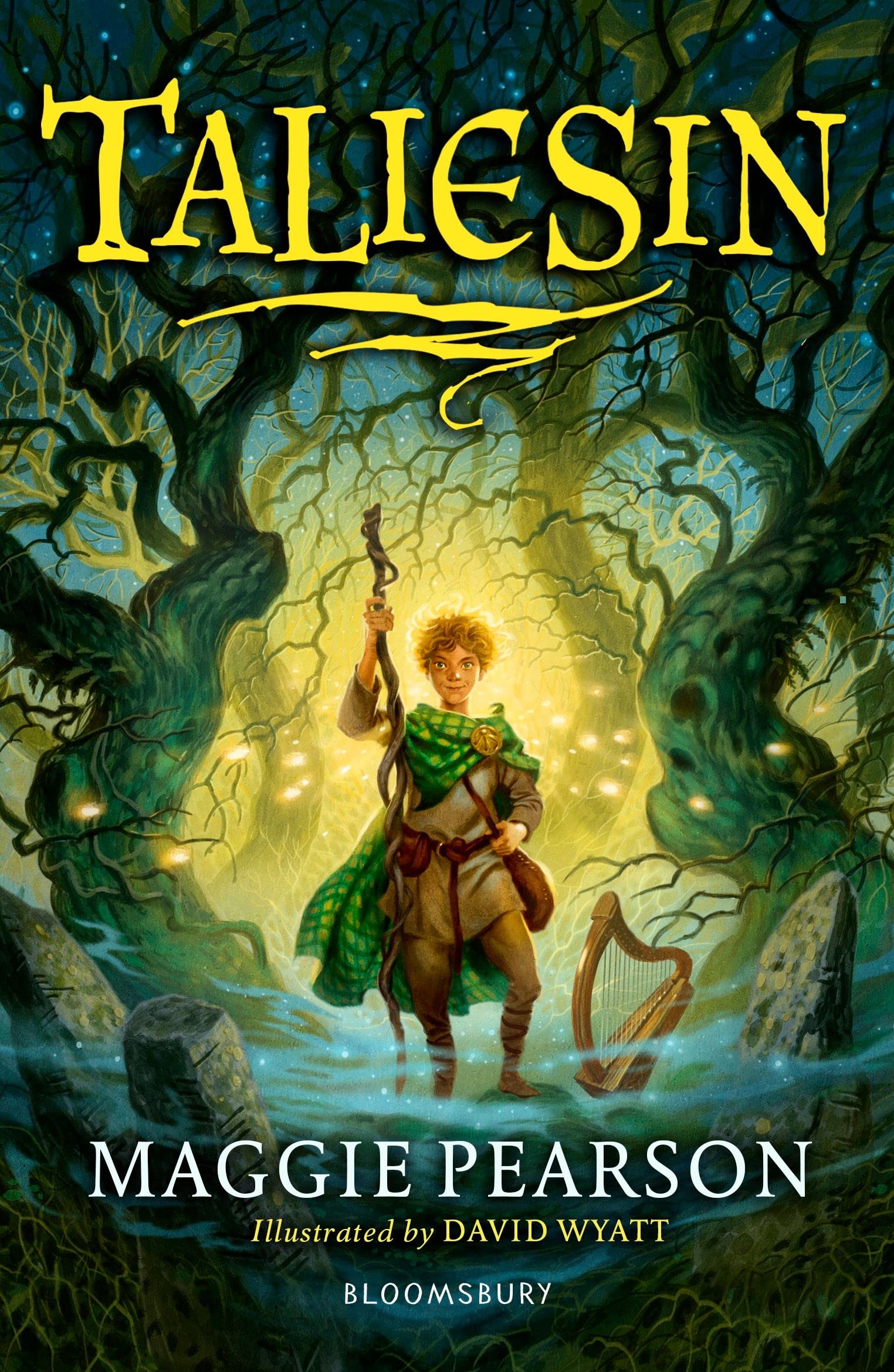 Front cover of the book 'Taliesin (Bloomsbury Guided Reading)' by Maggie Pearson.