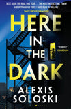 Front cover of the book 'Raven Books Here in the Dark.' by Alexis Soloski.
