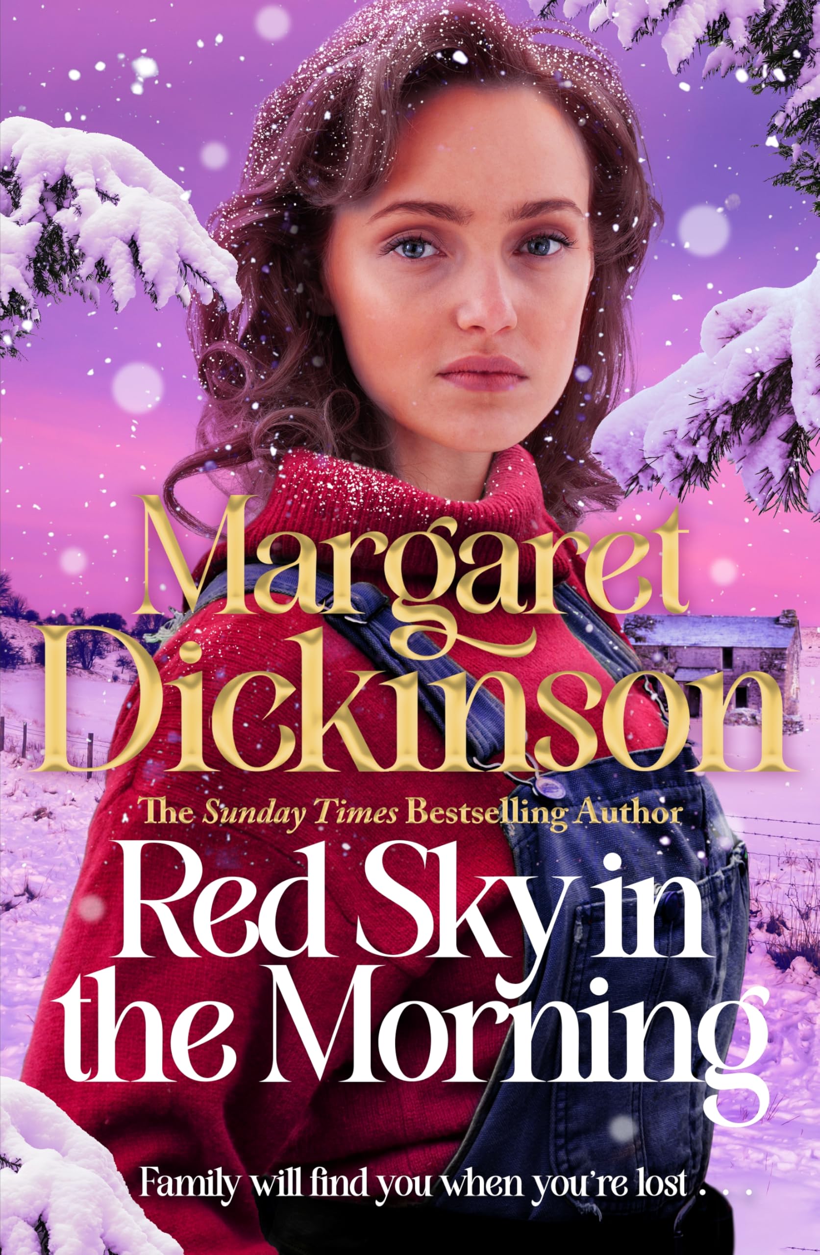 Front cover of the book 'Red Sky in the Morning' by Margaret Dickinson.