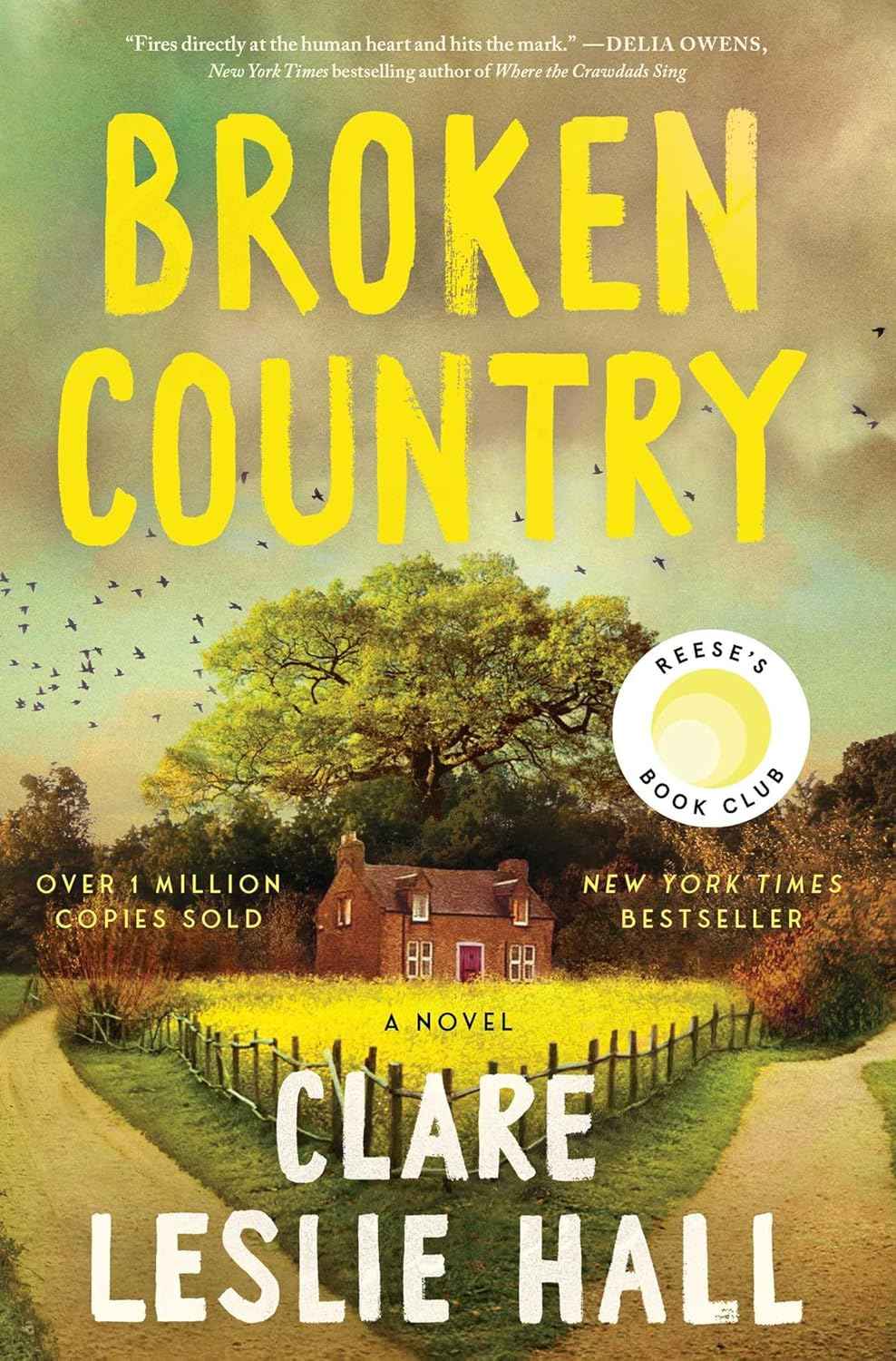 Broken Country PaperbackÐ   by Clare Leslie Hall