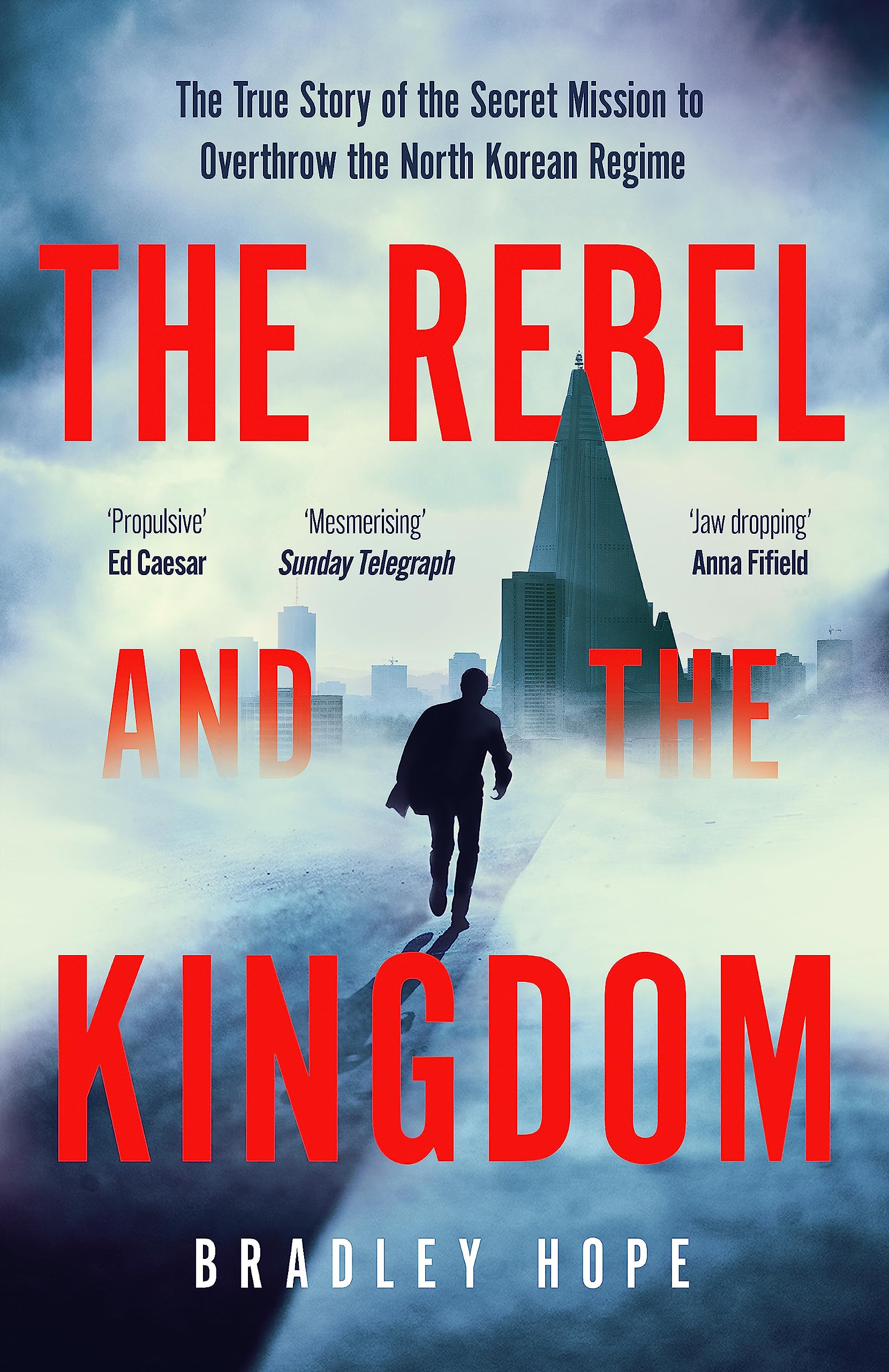 Front cover of the book 'The Rebel and the Kingdom: The True Story of the Secret Mission to Overthrow the North Korean Regime' by Bradley Hope.