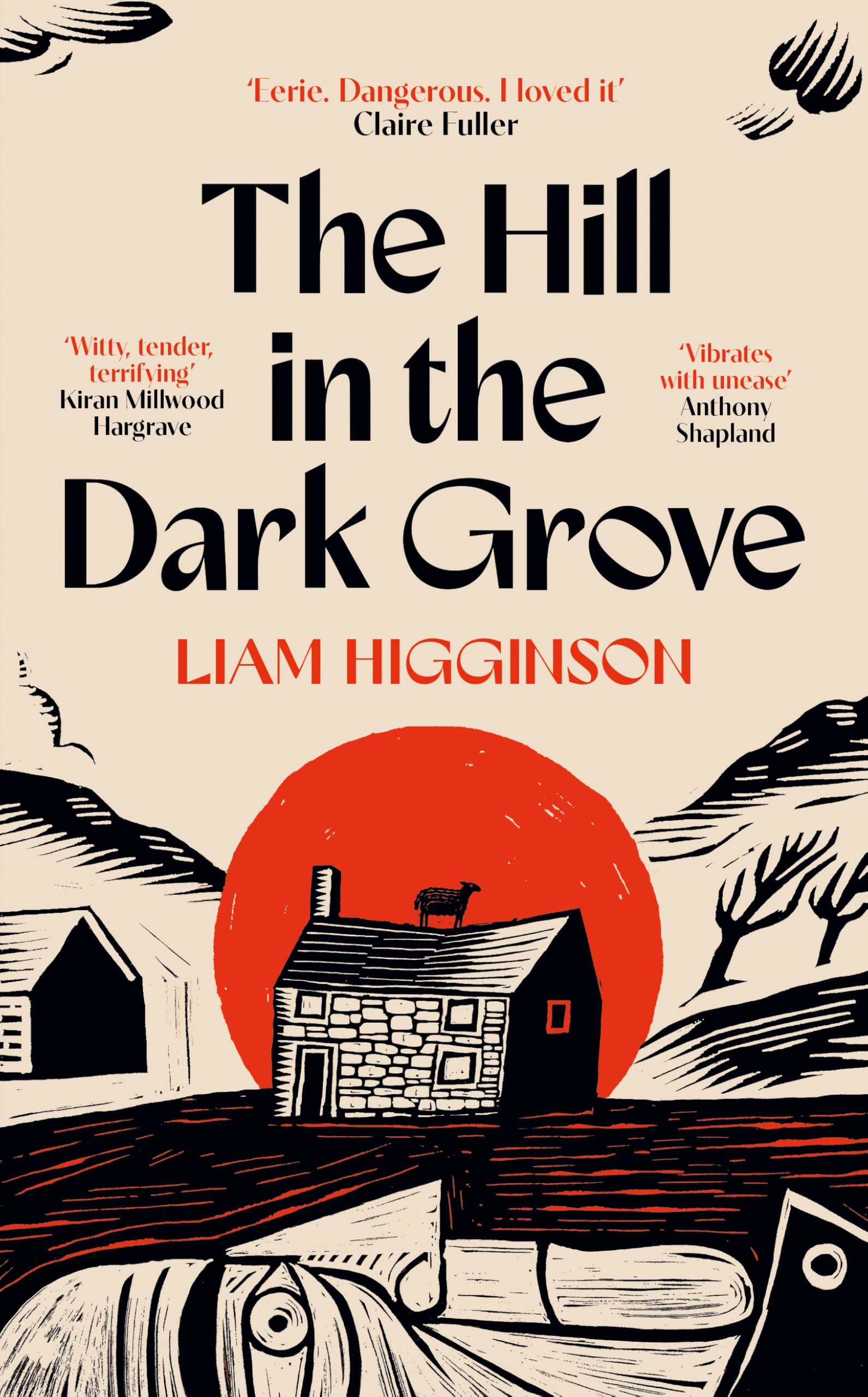 Front cover of the book 'The Hill in the Dark Grove' by Liam Higginson.