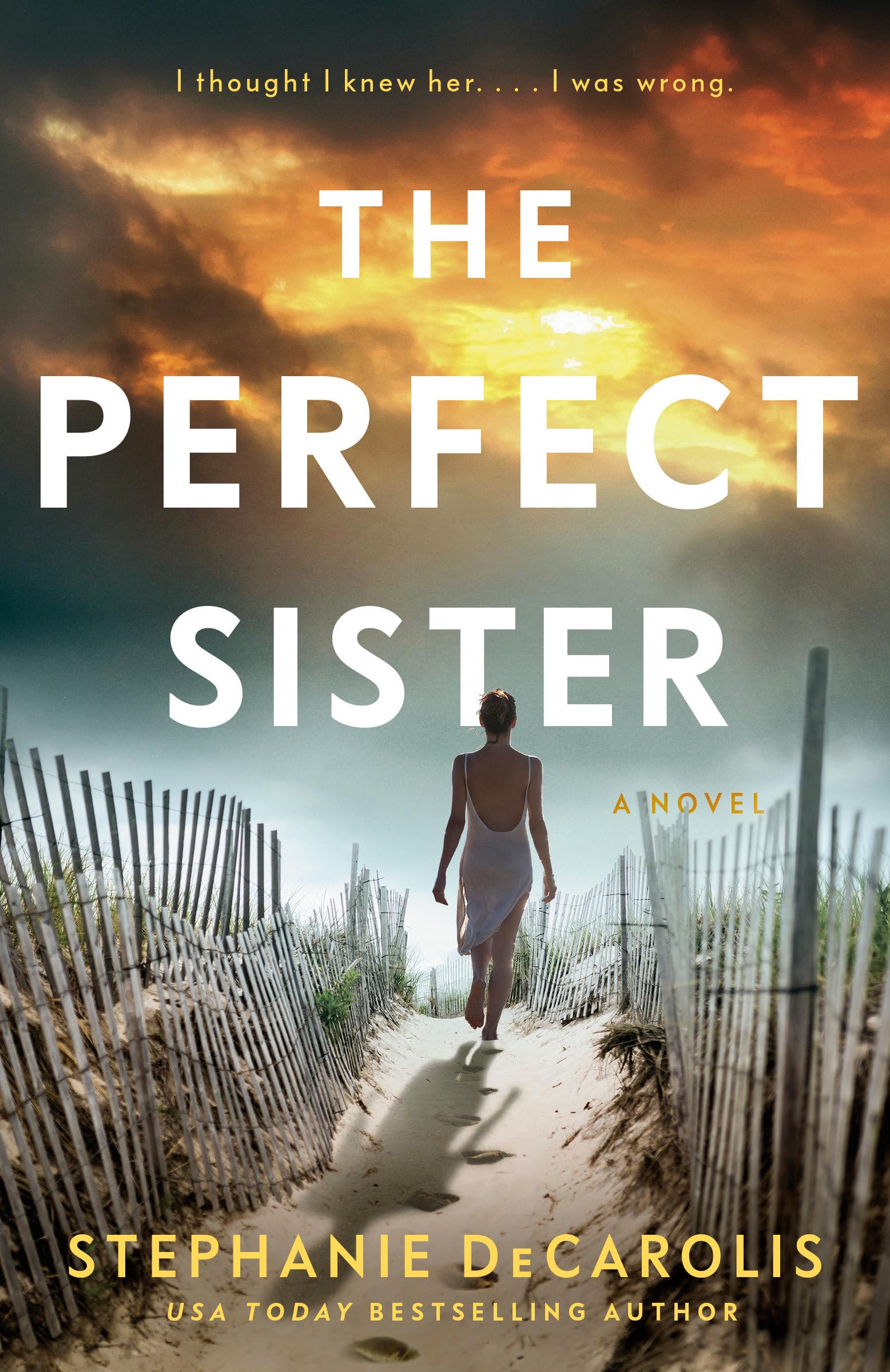 Front cover of the book 'The Perfect Sister: A Novel' by Decarolis, Stephanie.