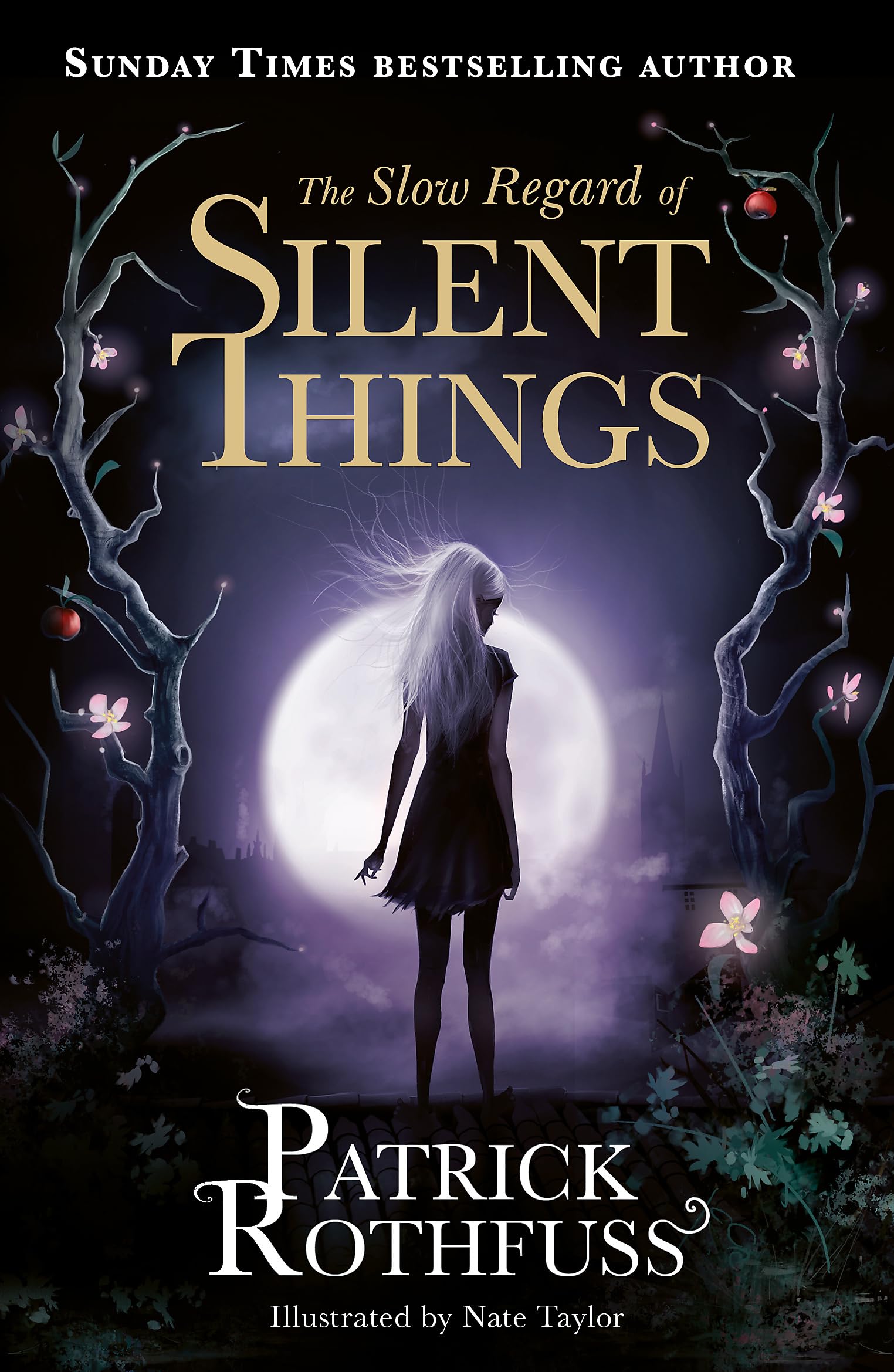 Front cover of the Paperback book 'The Slow Regard of Silent Things: A Kingkiller Chronicle Novella Patrick Rothfuss' by Patrick Rothfuss.