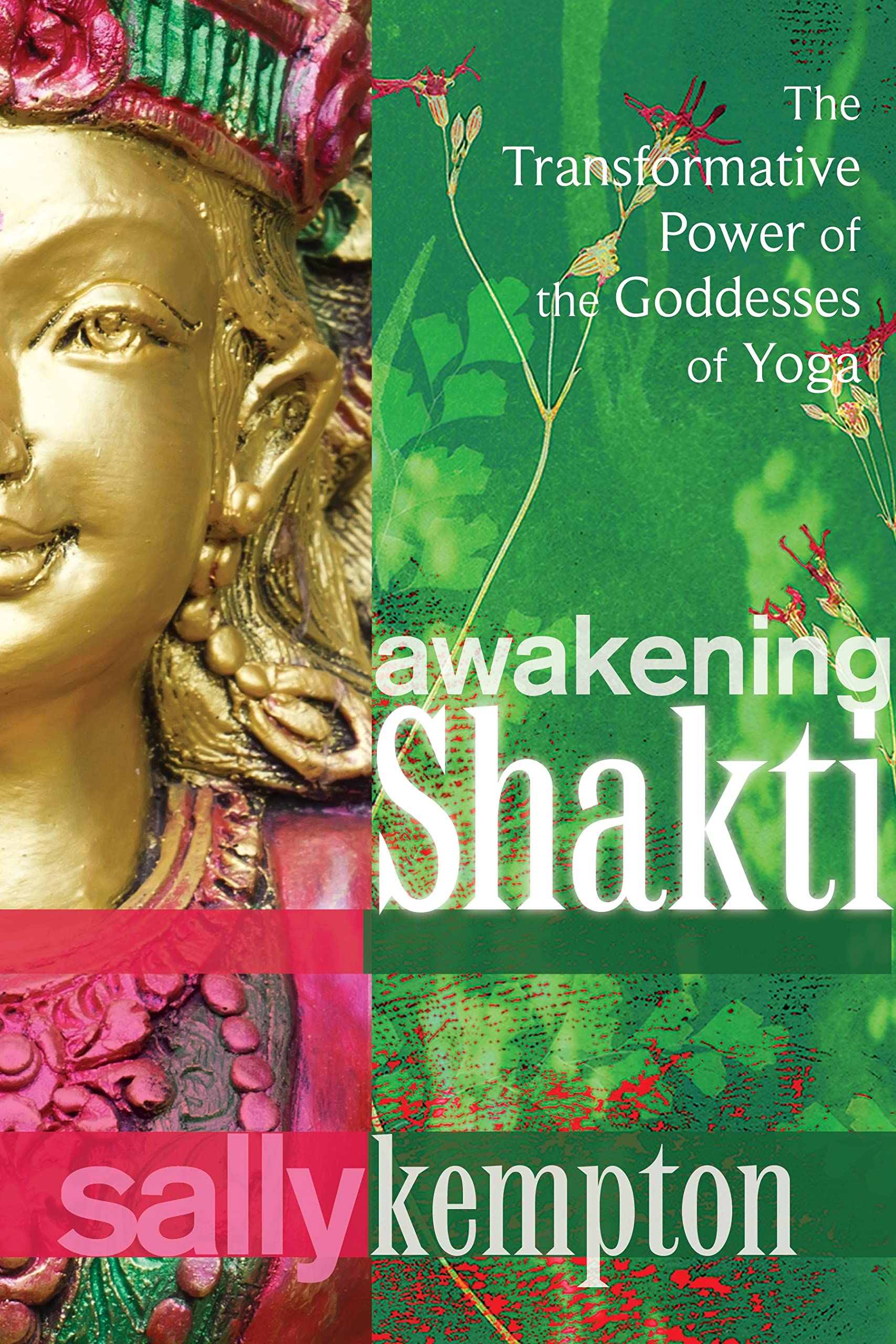 Front cover of the book 'Awakening Shakti: The Transformative Power of the Goddesses of Yoga' by Sally Kempton.