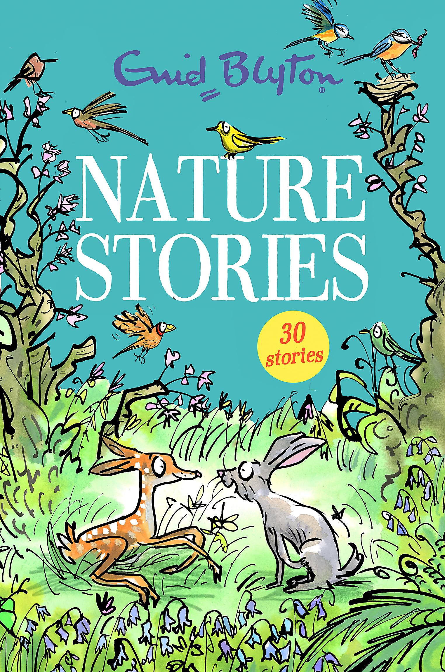 Front cover of the book 'Nature Stories' by Blyton, Enid.