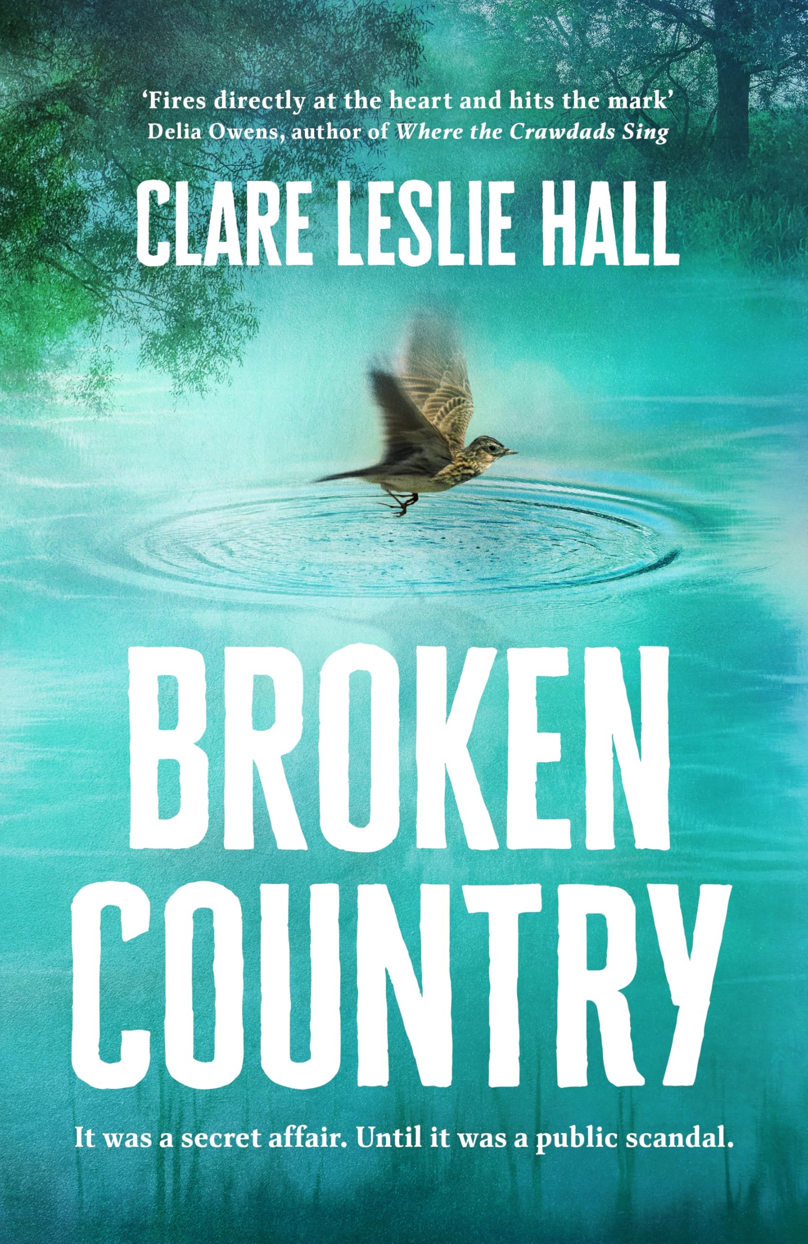Front cover of the book 'Broken Country' by Clare Leslie Hall.