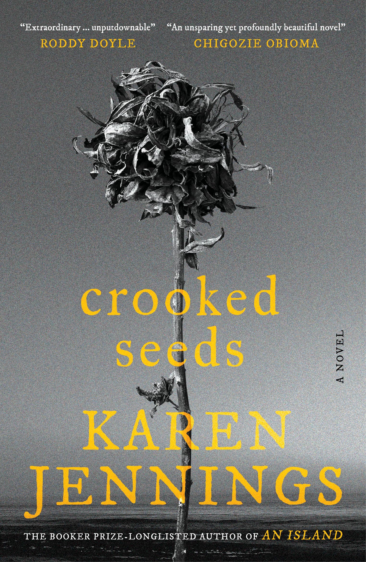 Front cover of the book 'Crooked Seeds' by Karen Jennings.