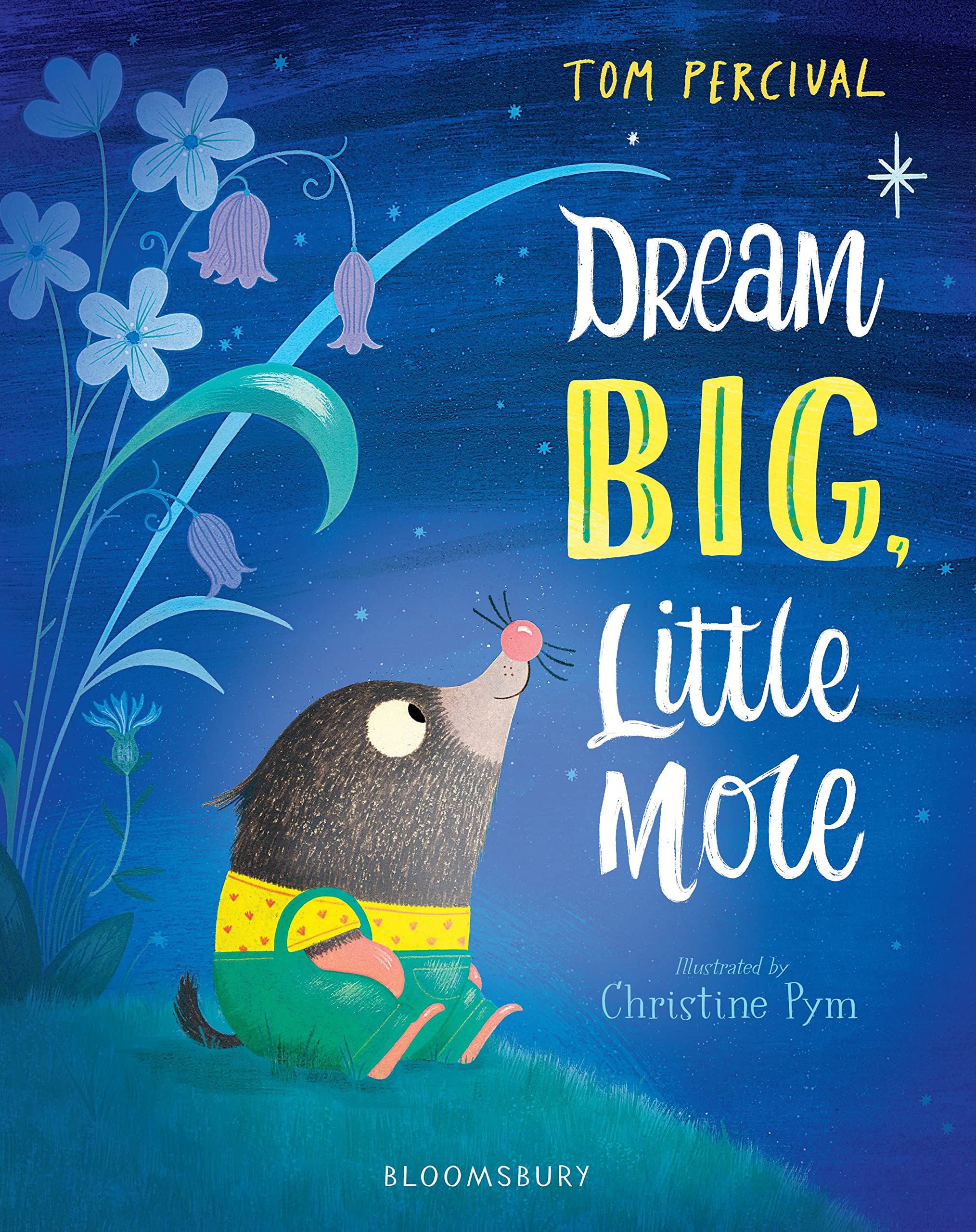 Front cover of the book 'Dream Big, Little Mole' by Tom Percival.
