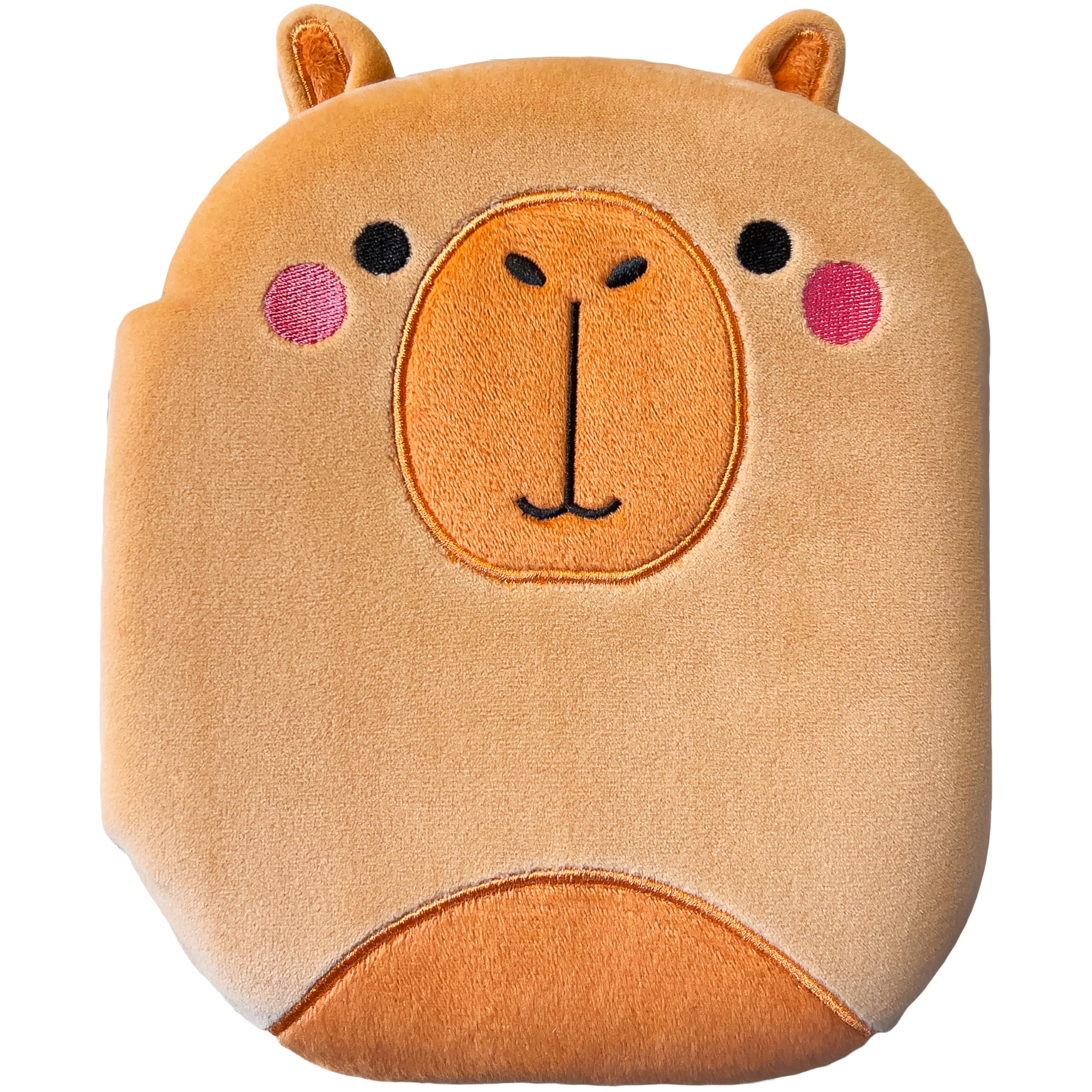 Front cover of the book 'Squish and Snugg Curious Capybara' by Cara Jenkins.