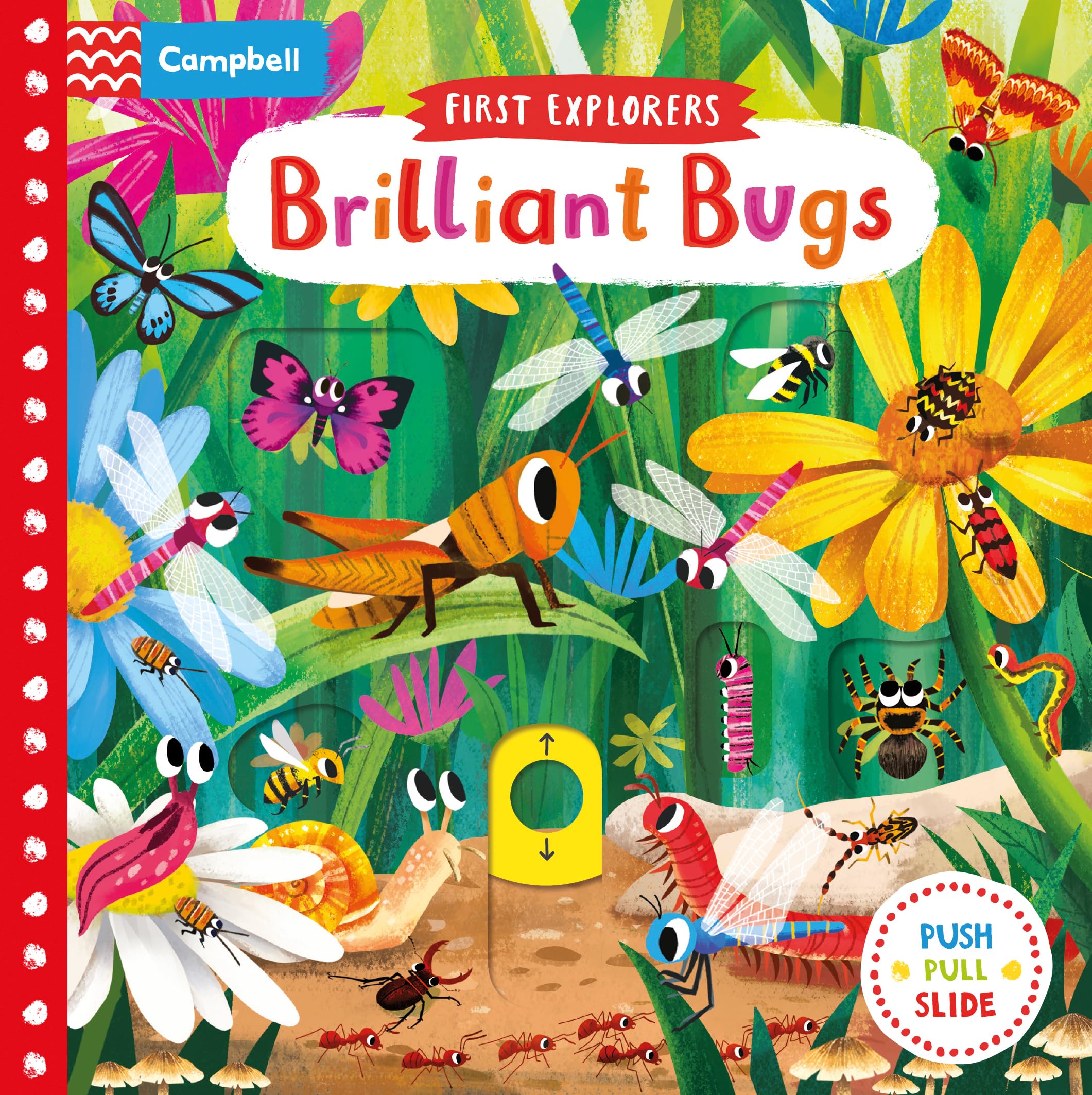 Front cover of the book 'Brilliant Bugs' by Chorkung.