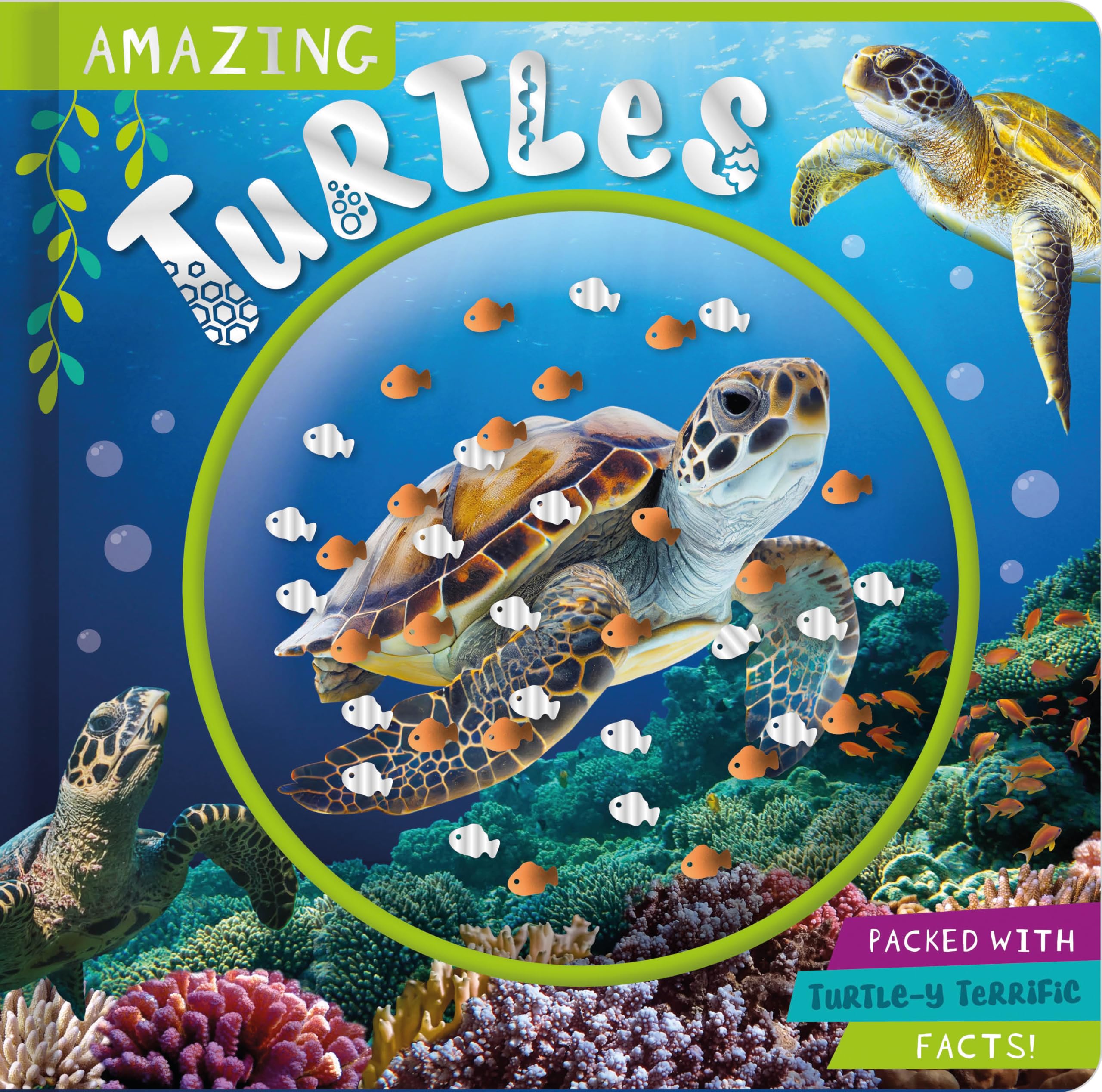 Front cover of the book 'Amazing Turtles' by Naomi Churn.