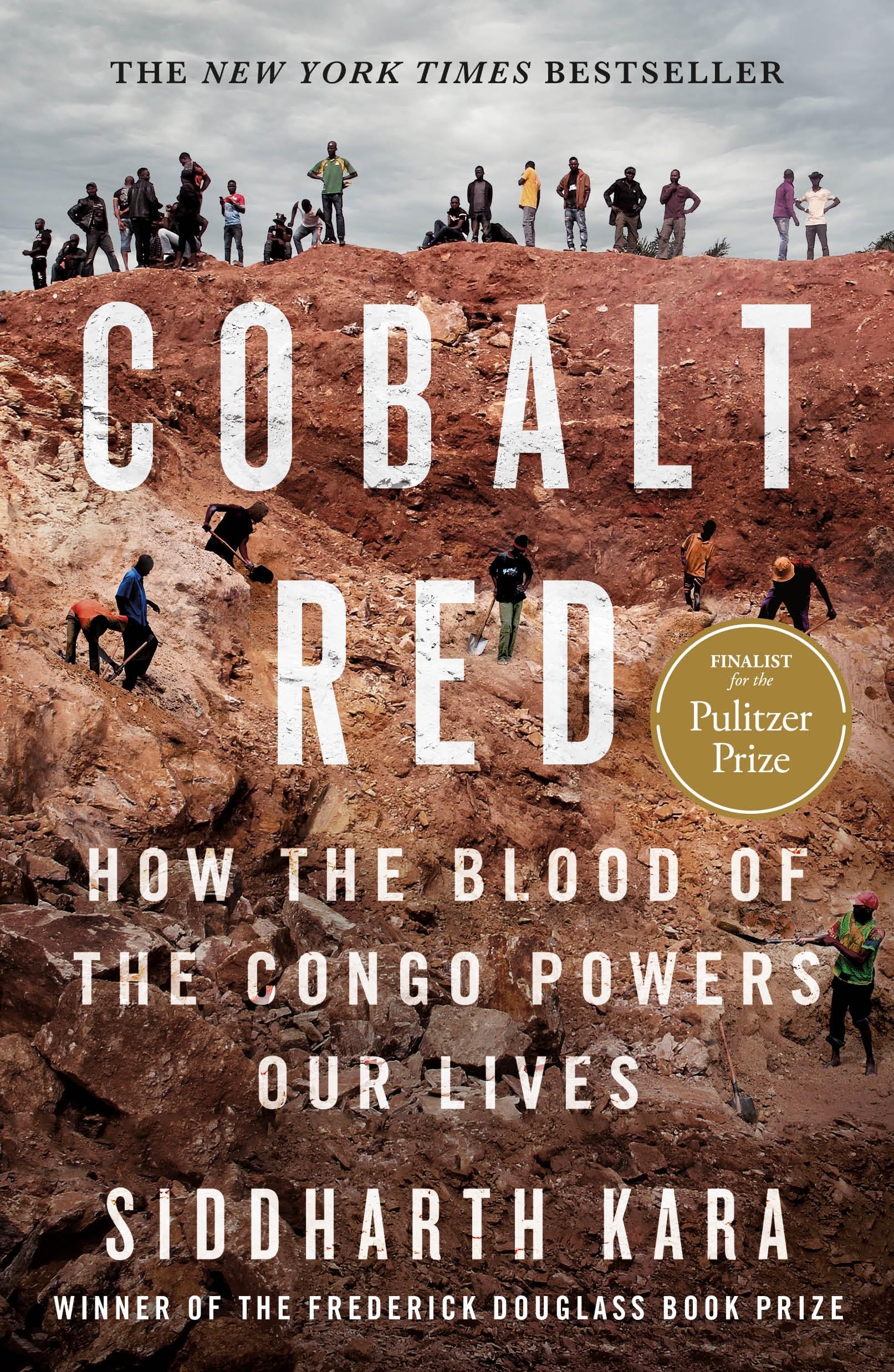 Front cover of the book 'Cobalt Red' by Siddharth Kara.