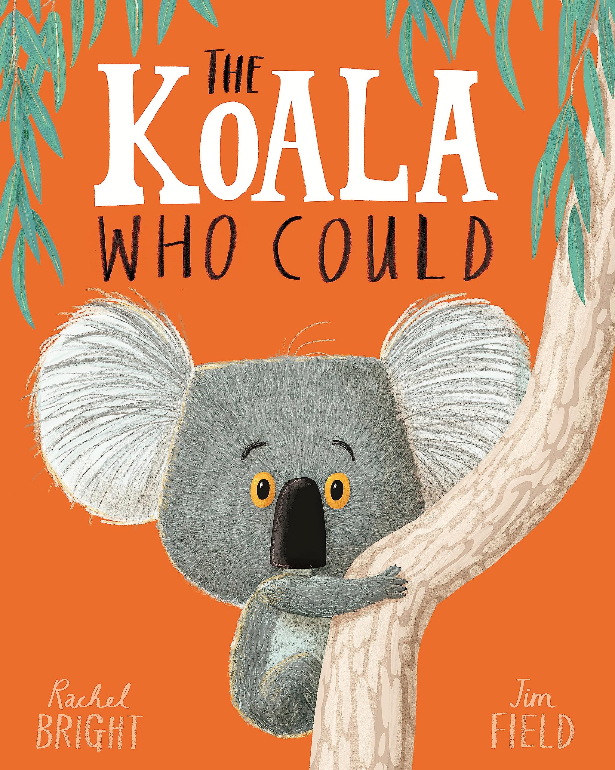 Front cover of the book 'The koala who could' by Rachel Bright.