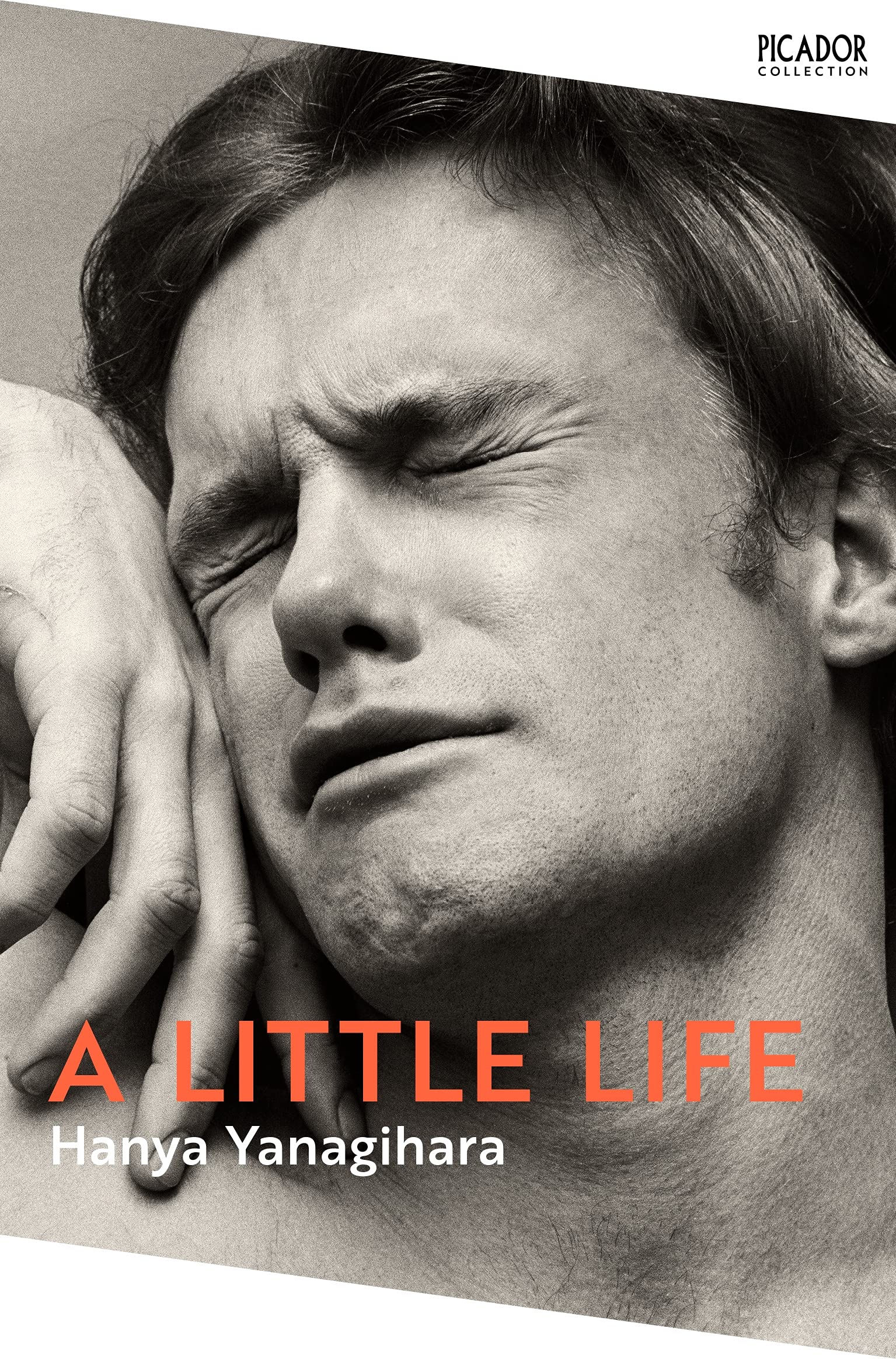 Front cover of the book 'A Little Life' by Hanya Yanagihara.