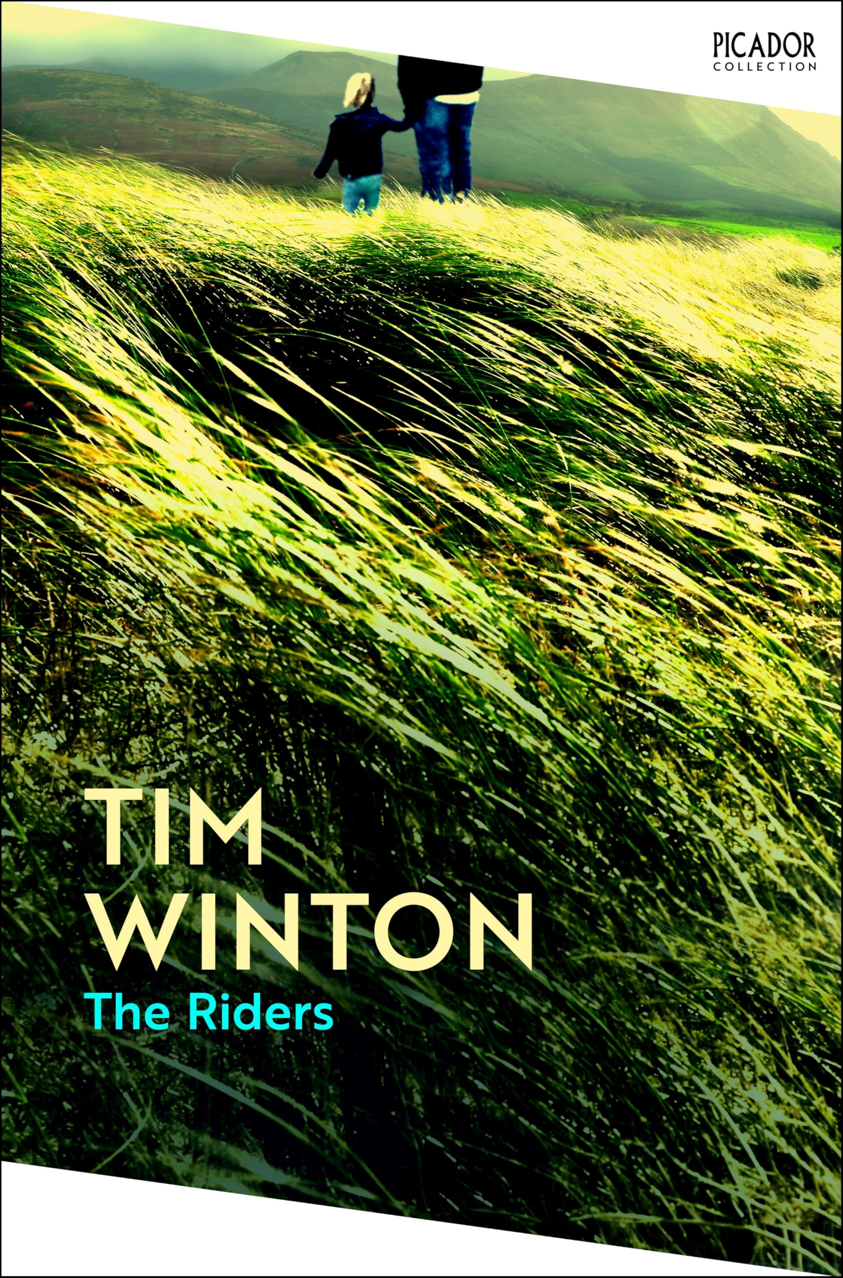 Front cover of the book 'Picador The Riders.' by Tim Winton.